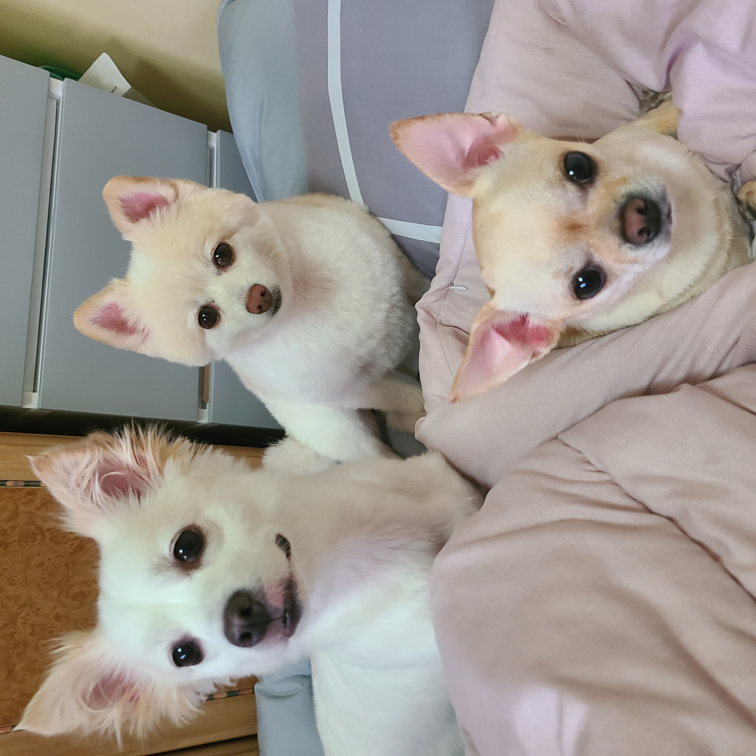 보배랑 3개월
