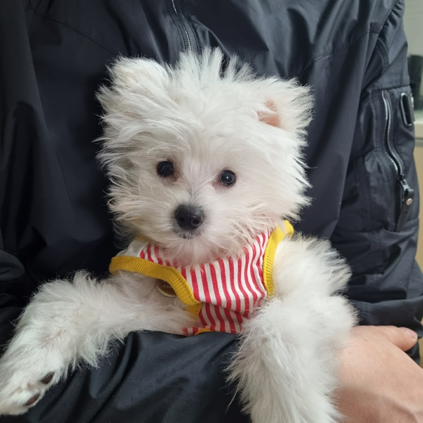 곤지암 그오(봄이) 3개월차 후기입니다!