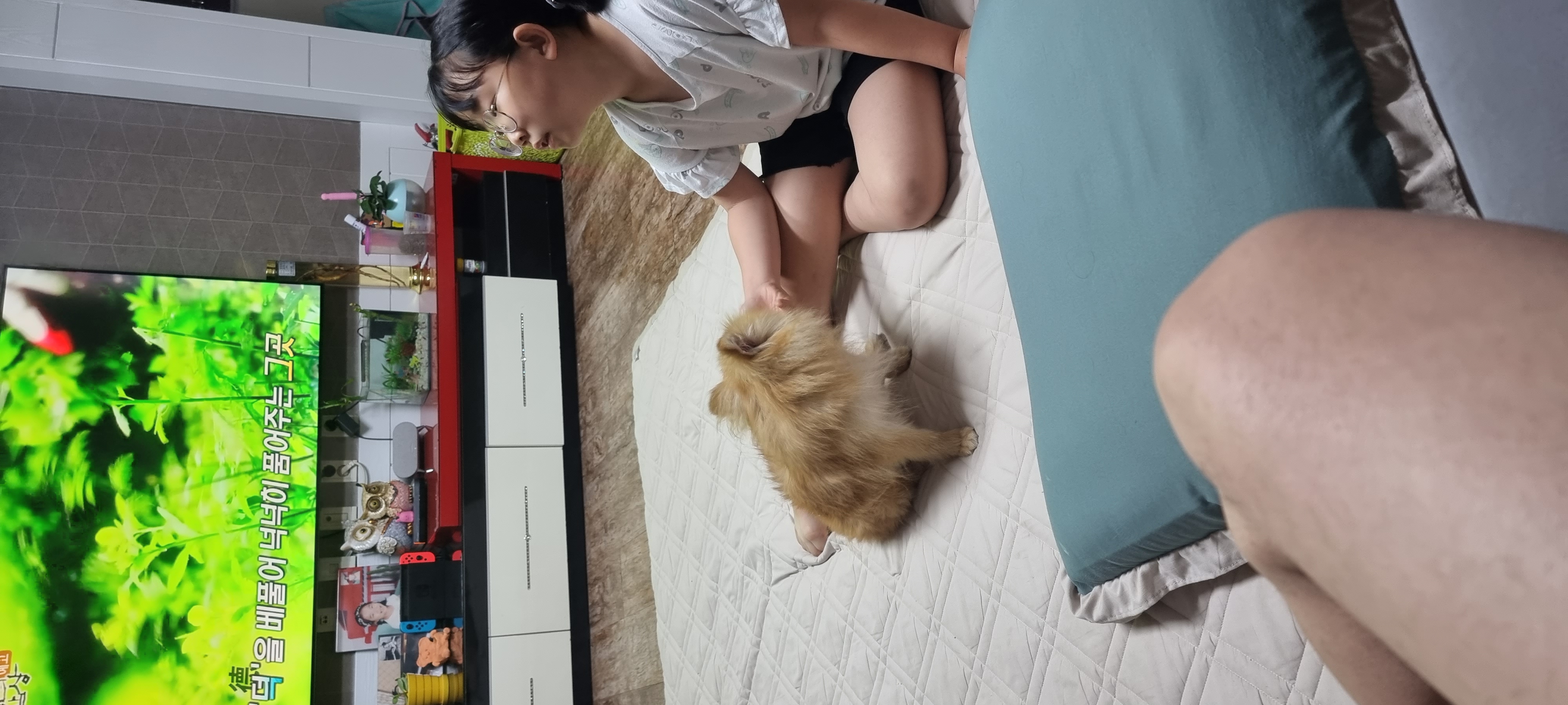 아호 (덕춘이)