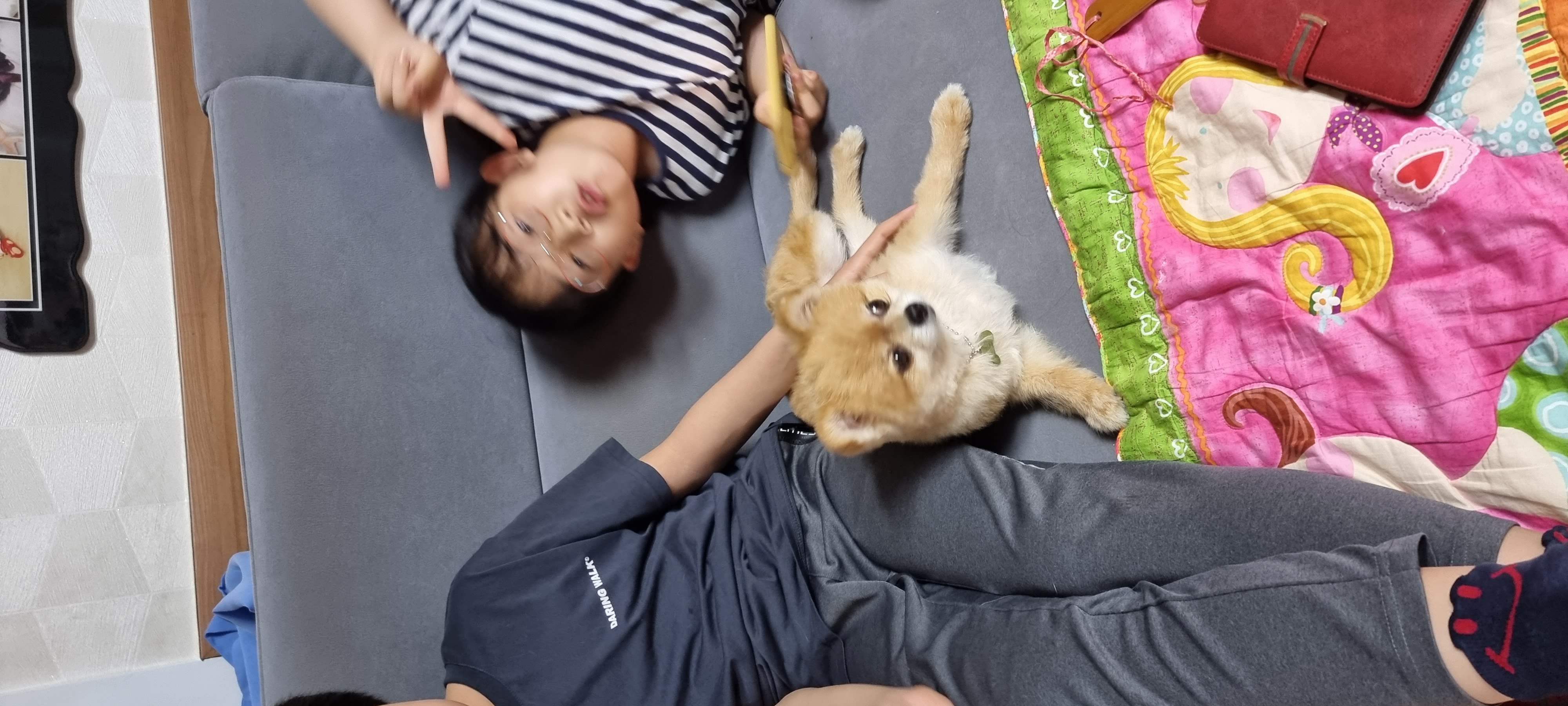 아호 (덕춘이)