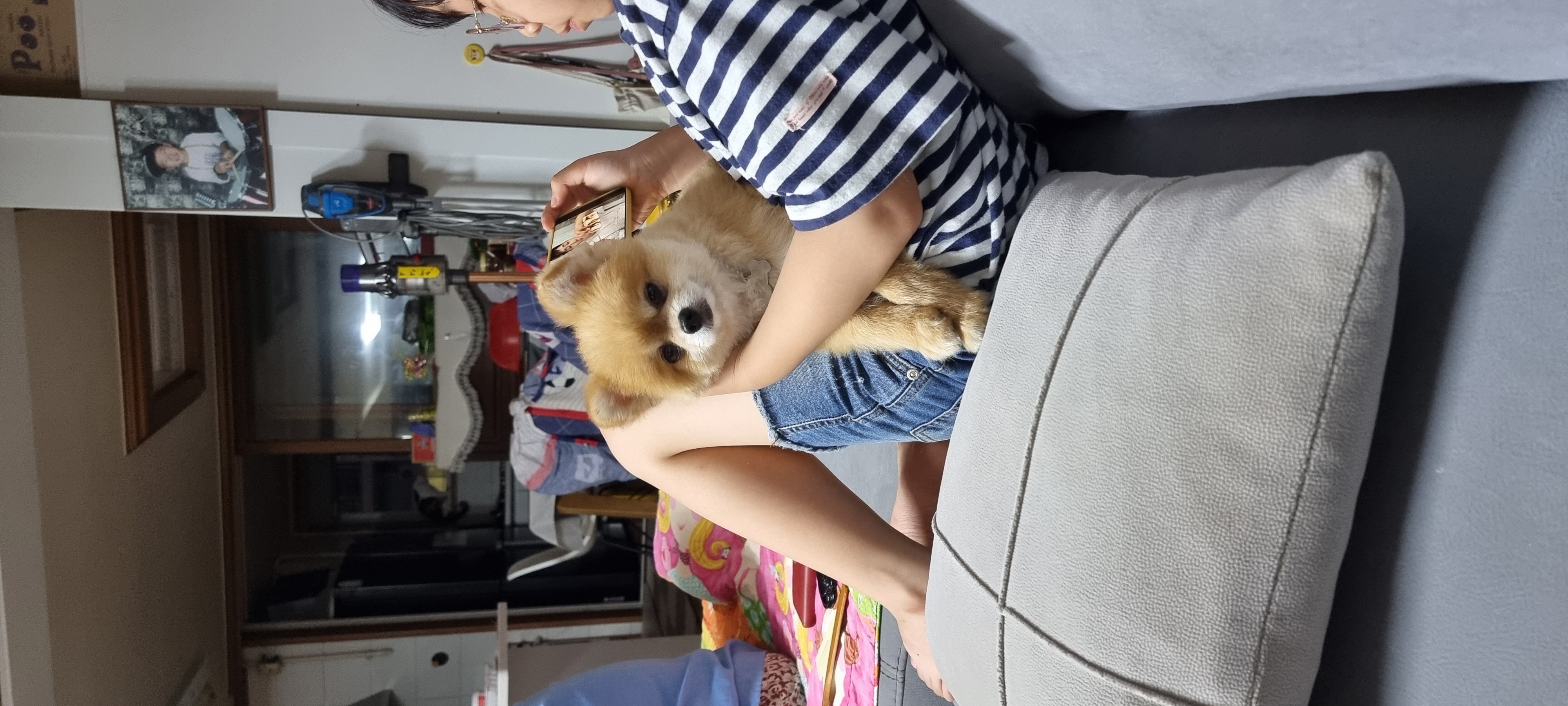 아호 (덕춘이)