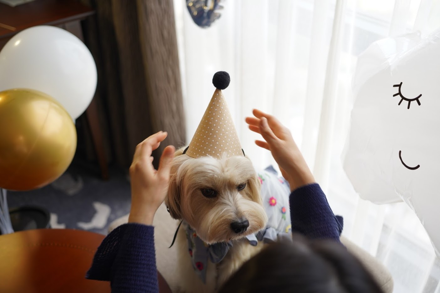 봉구 6살 생일 파티 ~ ^^