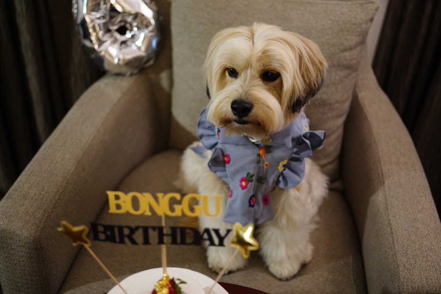 봉구 6살 생일 파티 ~ ^^