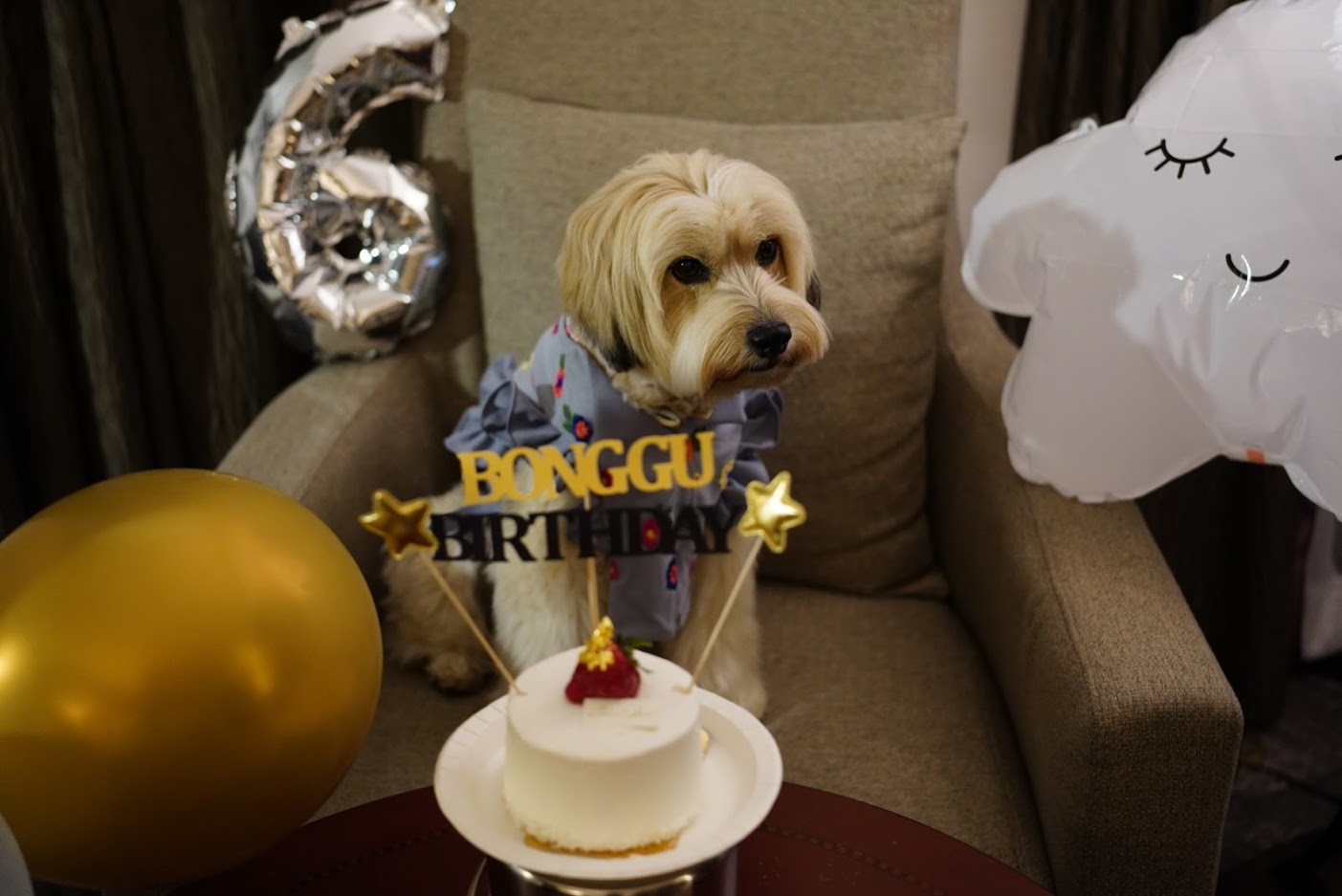 봉구 6살 생일 파티 ~ ^^