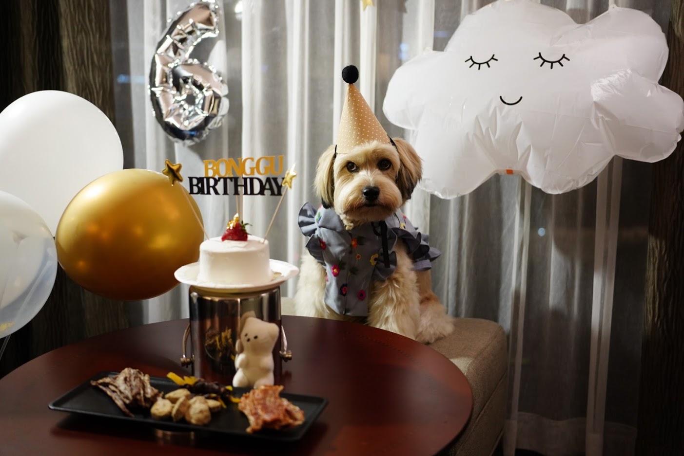 봉구 6살 생일 파티 ~ ^^