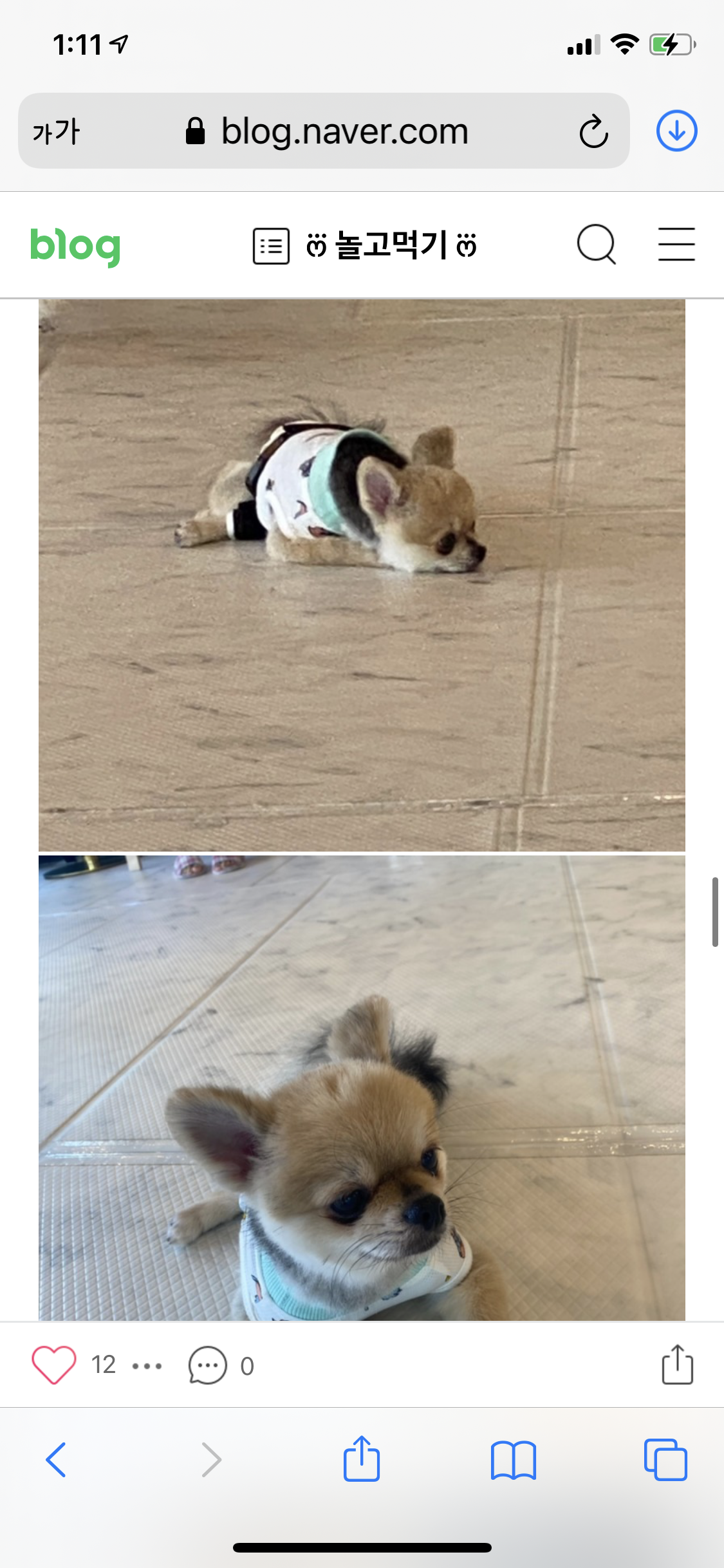 애견카페에 다친 개 방치 학대로 볼 수 있을까요?