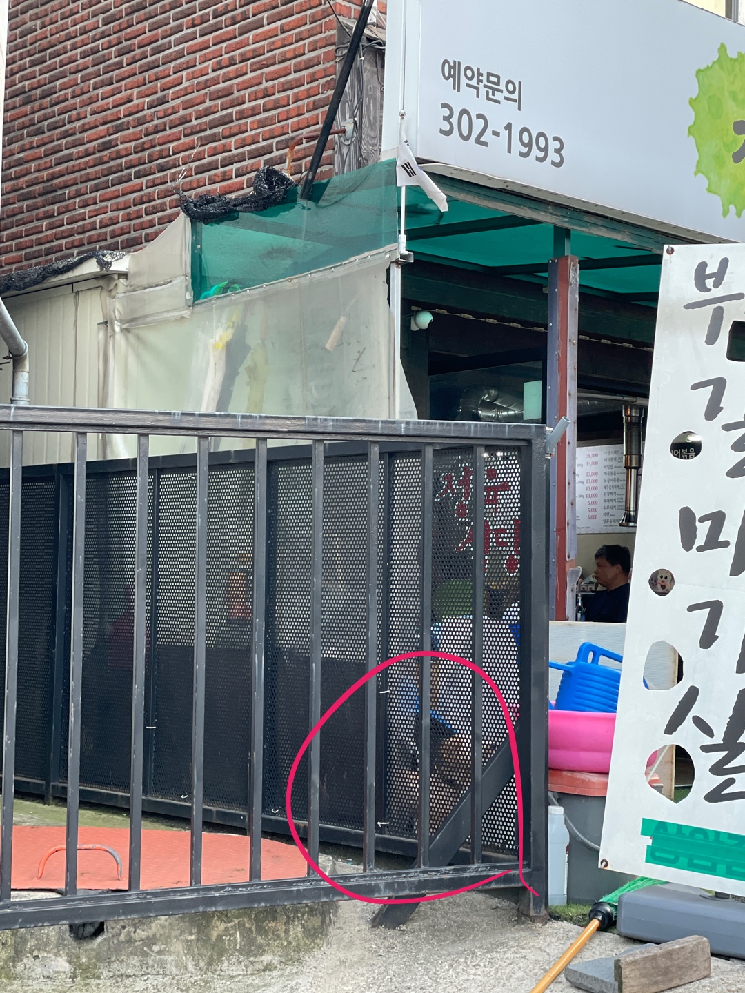 강아지 사육환경 부당 신청