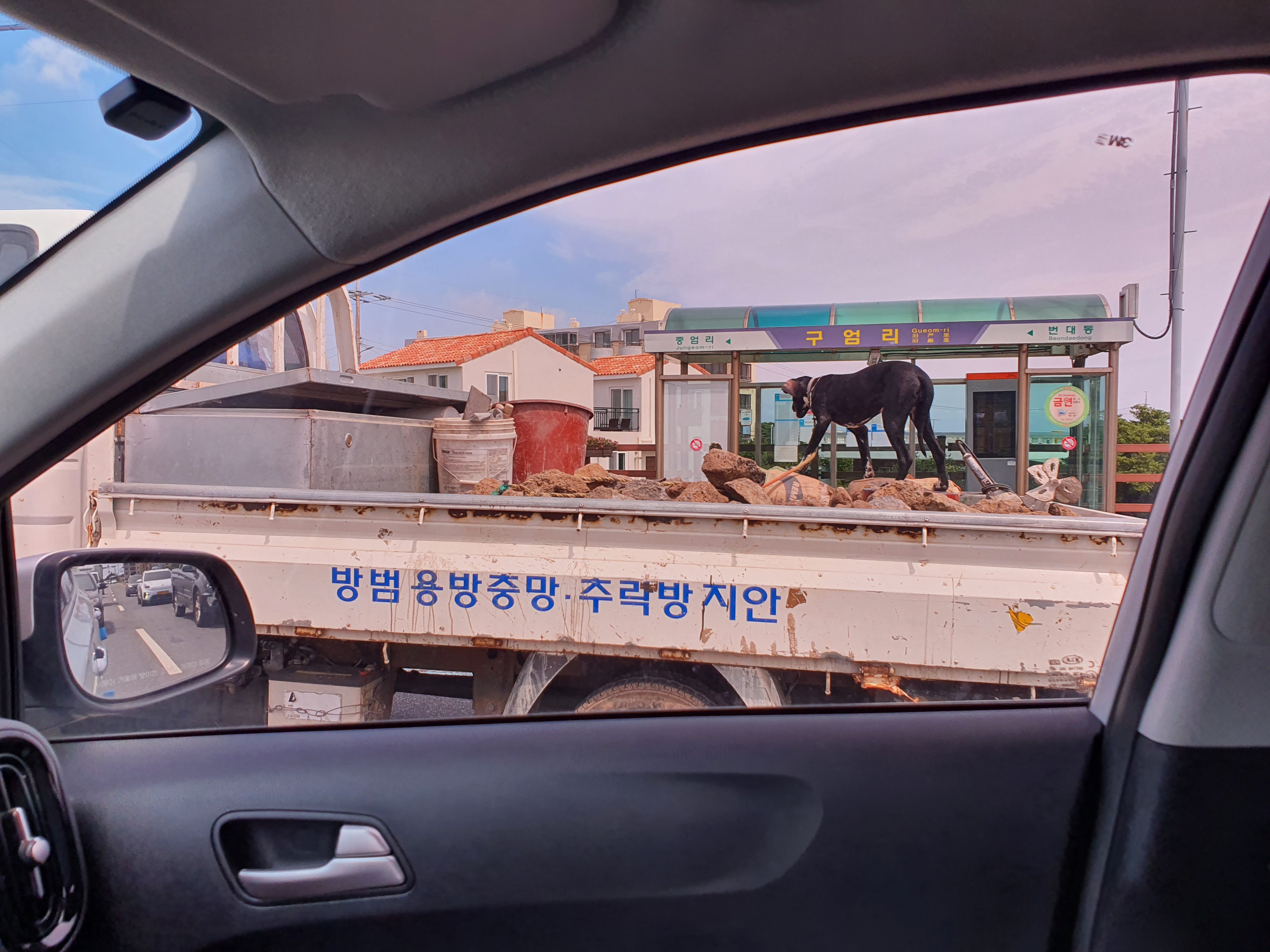 위험해보여서 제보드려요