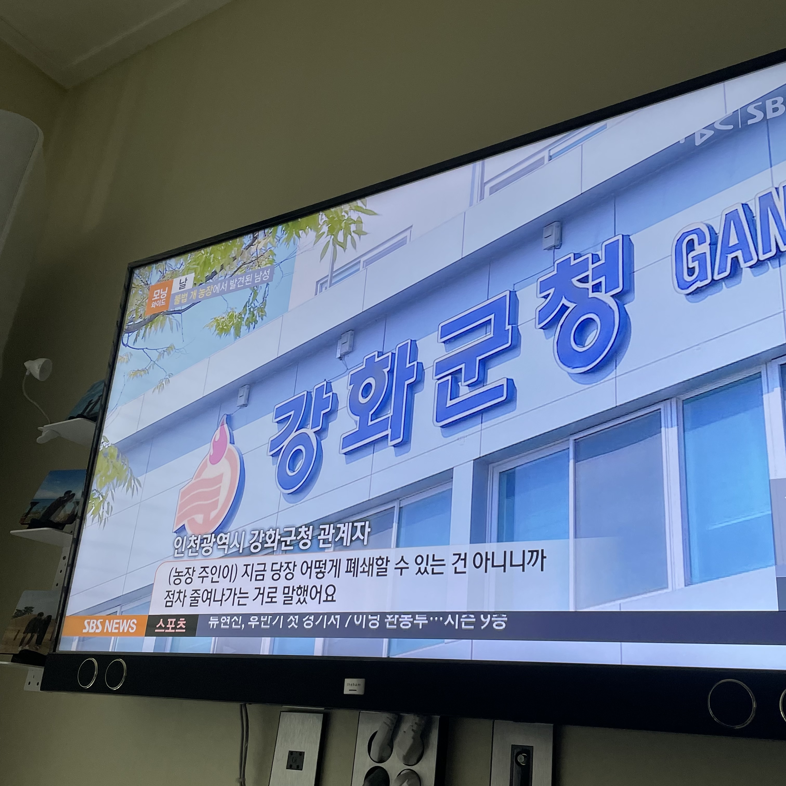 500여 마리의 도실/방치/개농장
