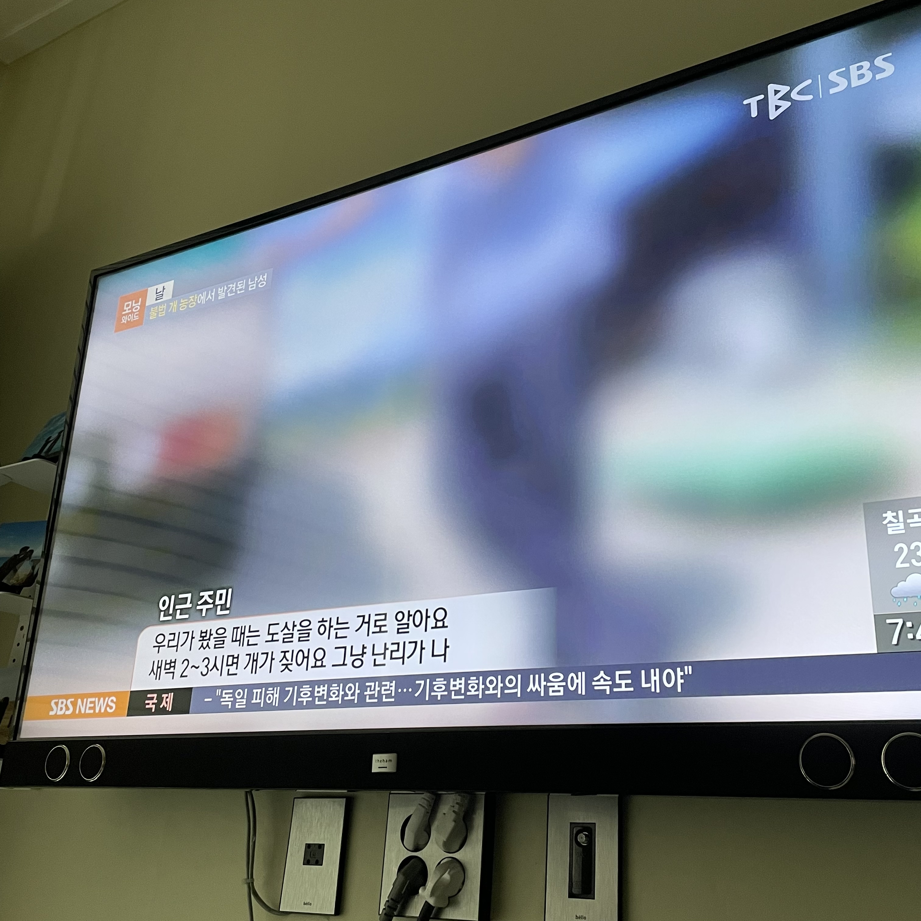 500여 마리의 도실/방치/개농장