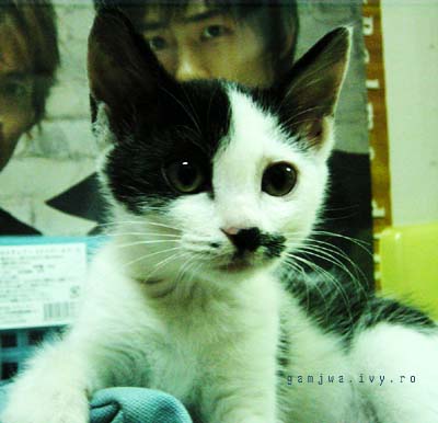 최근 나리