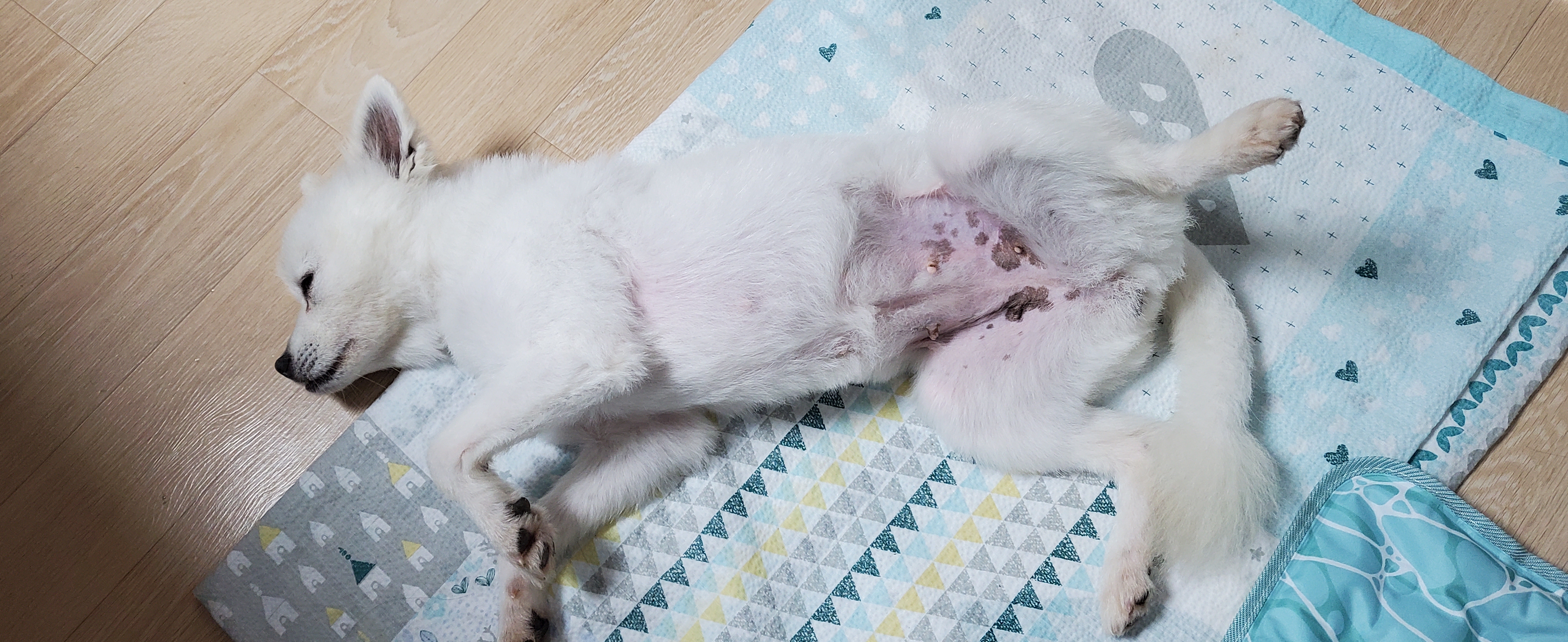곤지암 달밤이 7일째