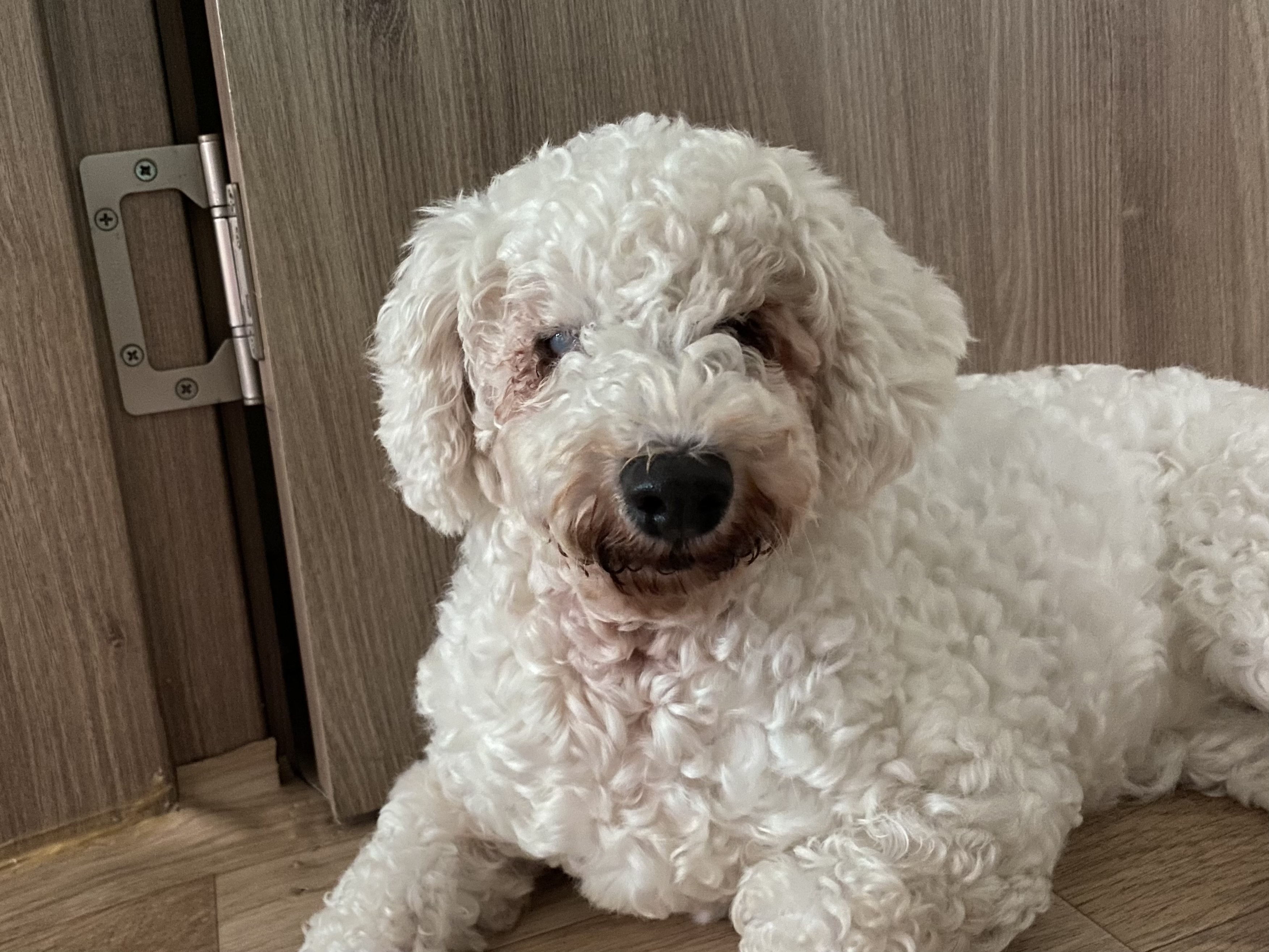 윤랑이의 한달차 생활(곤지암_쟈스민)