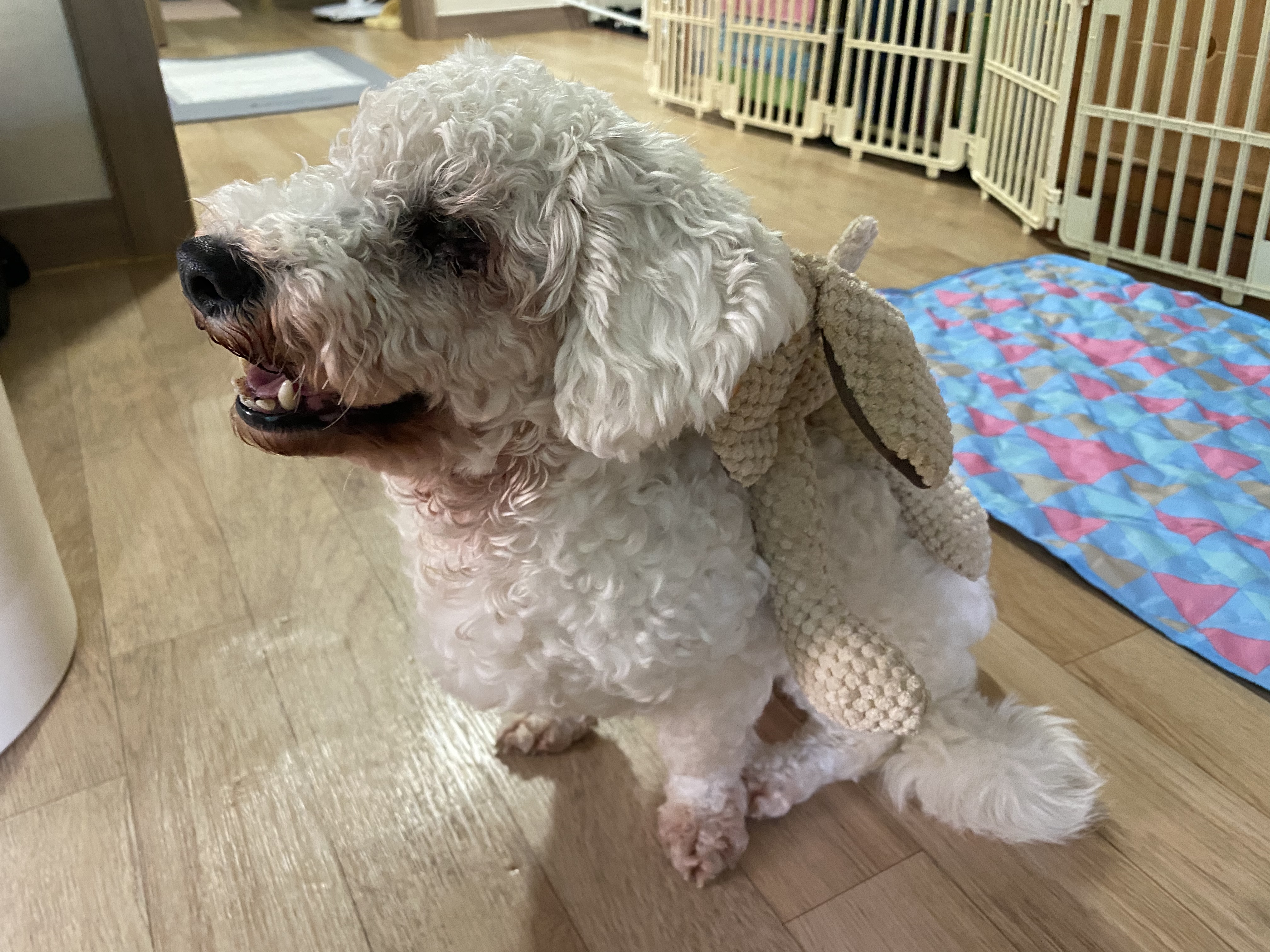 윤랑이의 한달차 생활(곤지암_쟈스민)