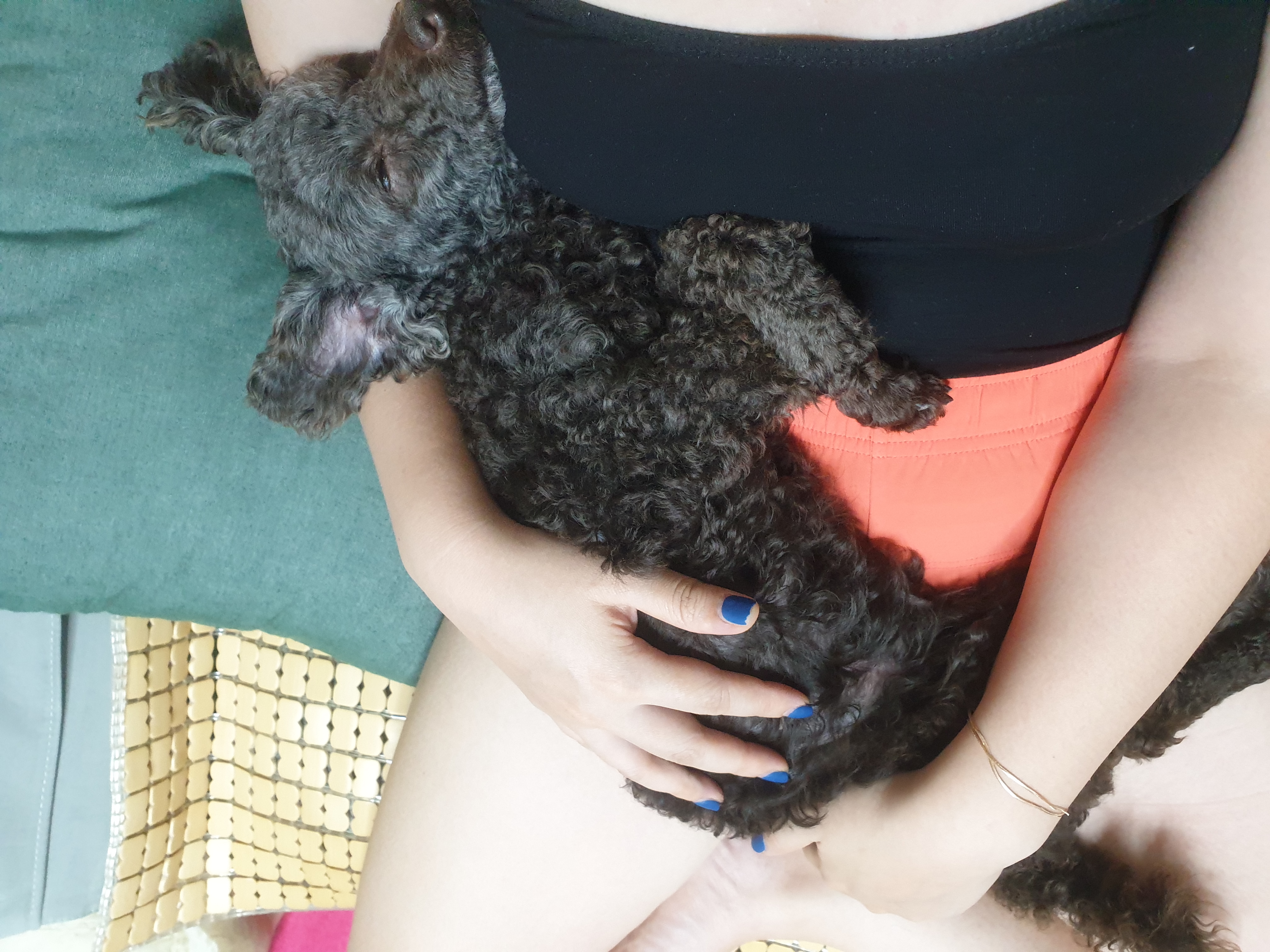 모카 세달후기 (곤지암깜냥이)