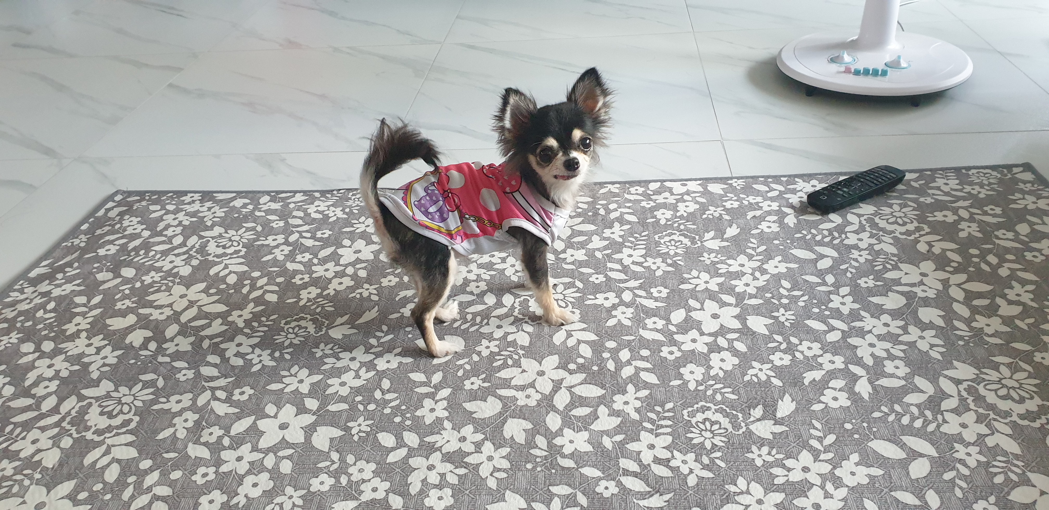달라진 왕별이랍니다~^^