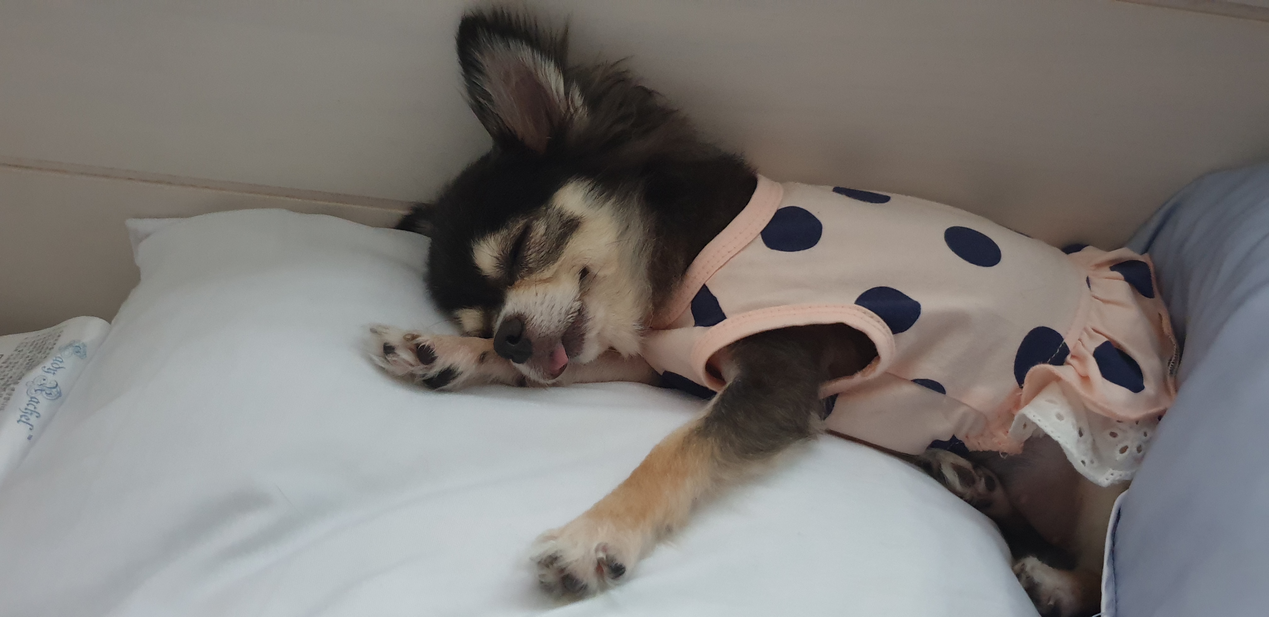 달라진 왕별이랍니다~^^