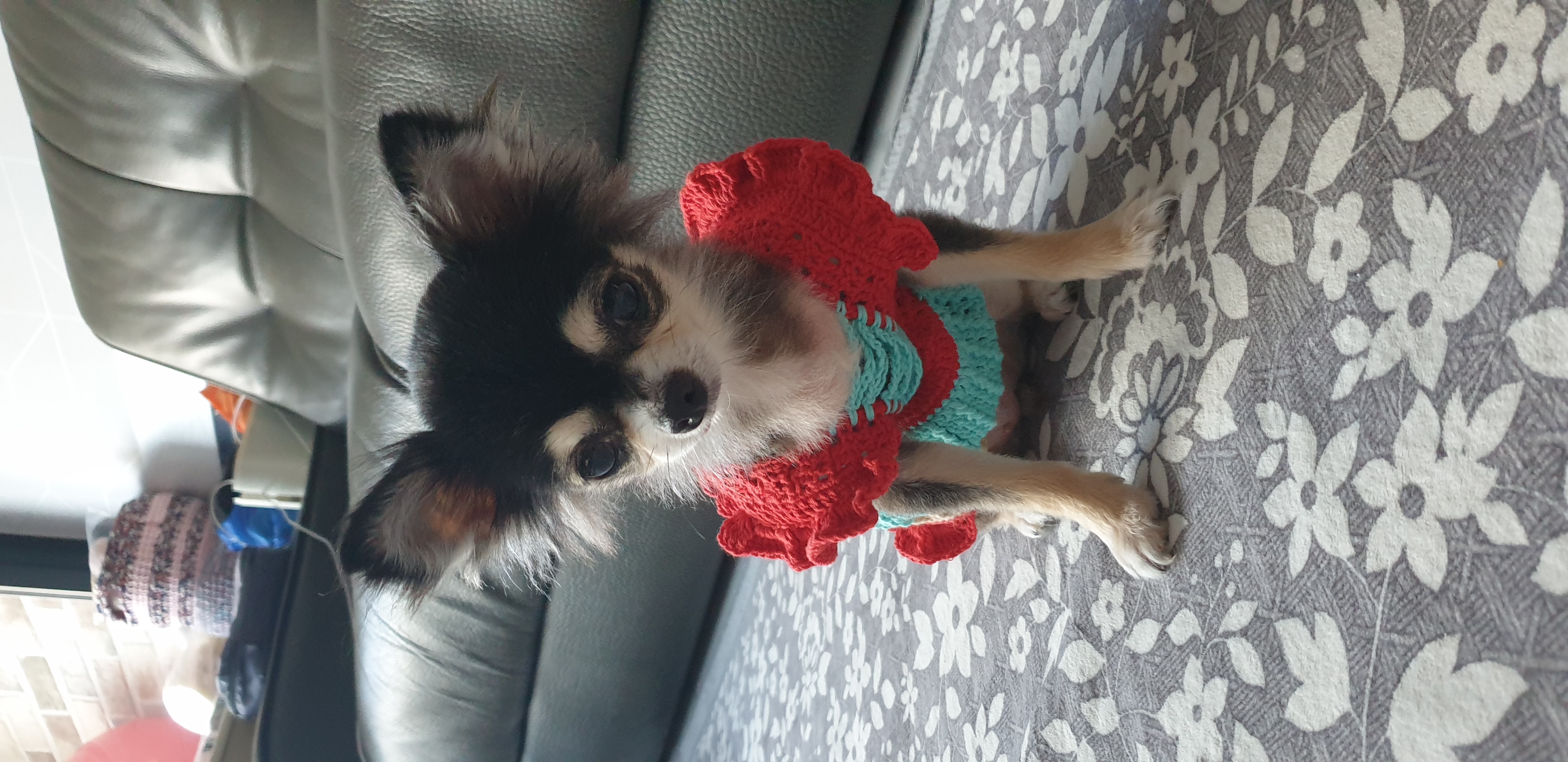 달라진 왕별이랍니다~^^