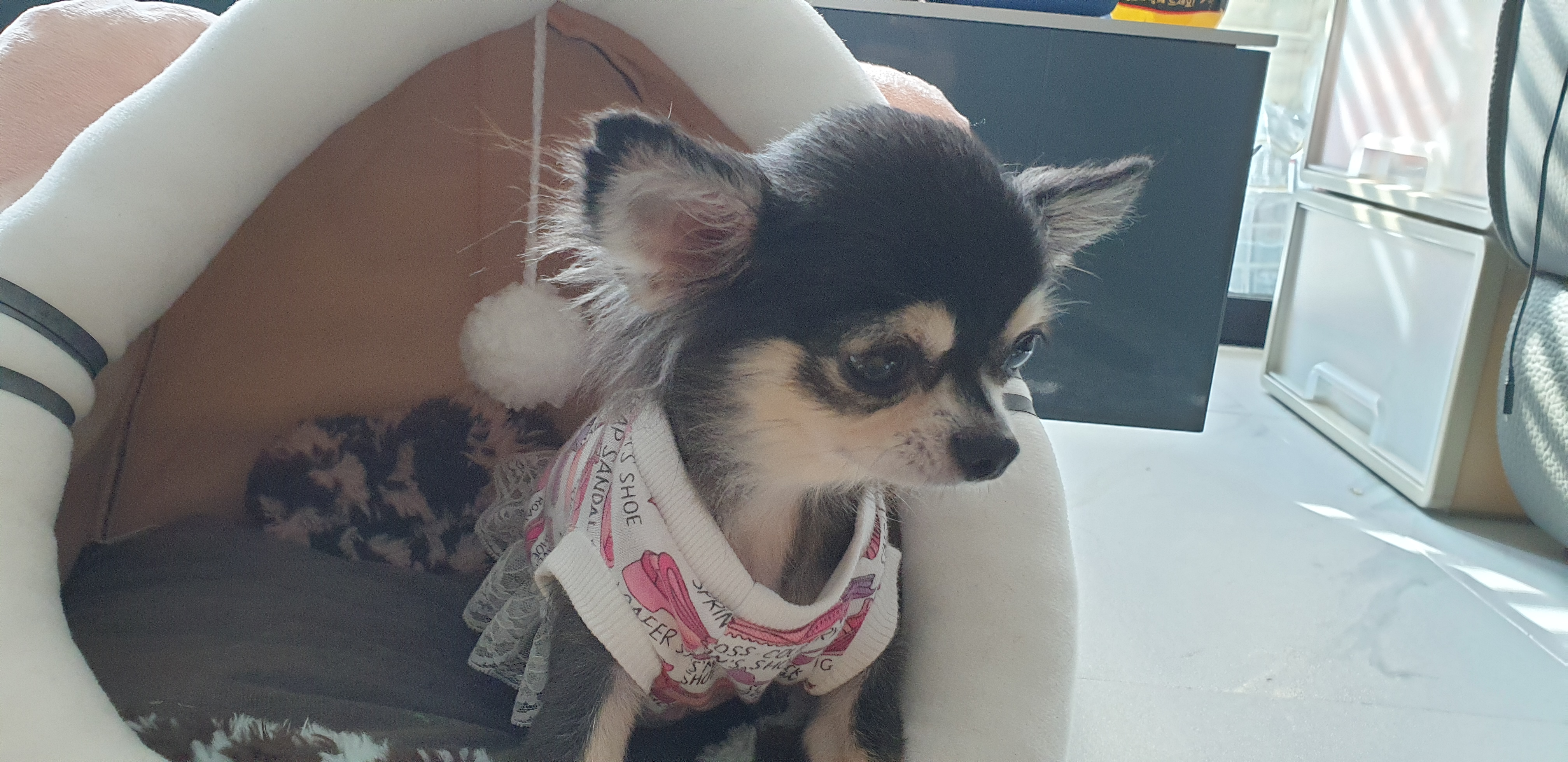 달라진 왕별이랍니다~^^