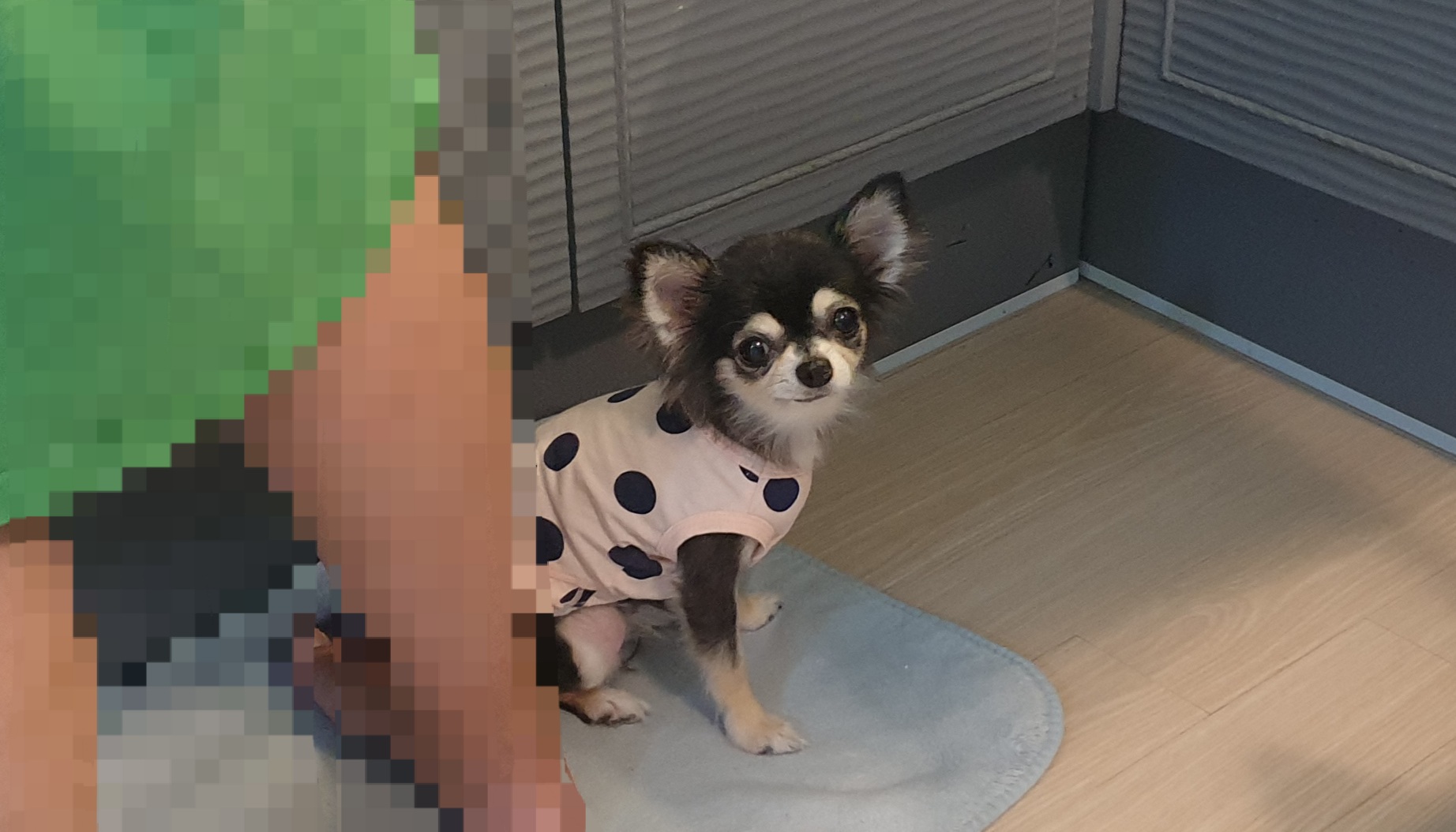 달라진 왕별이랍니다~^^