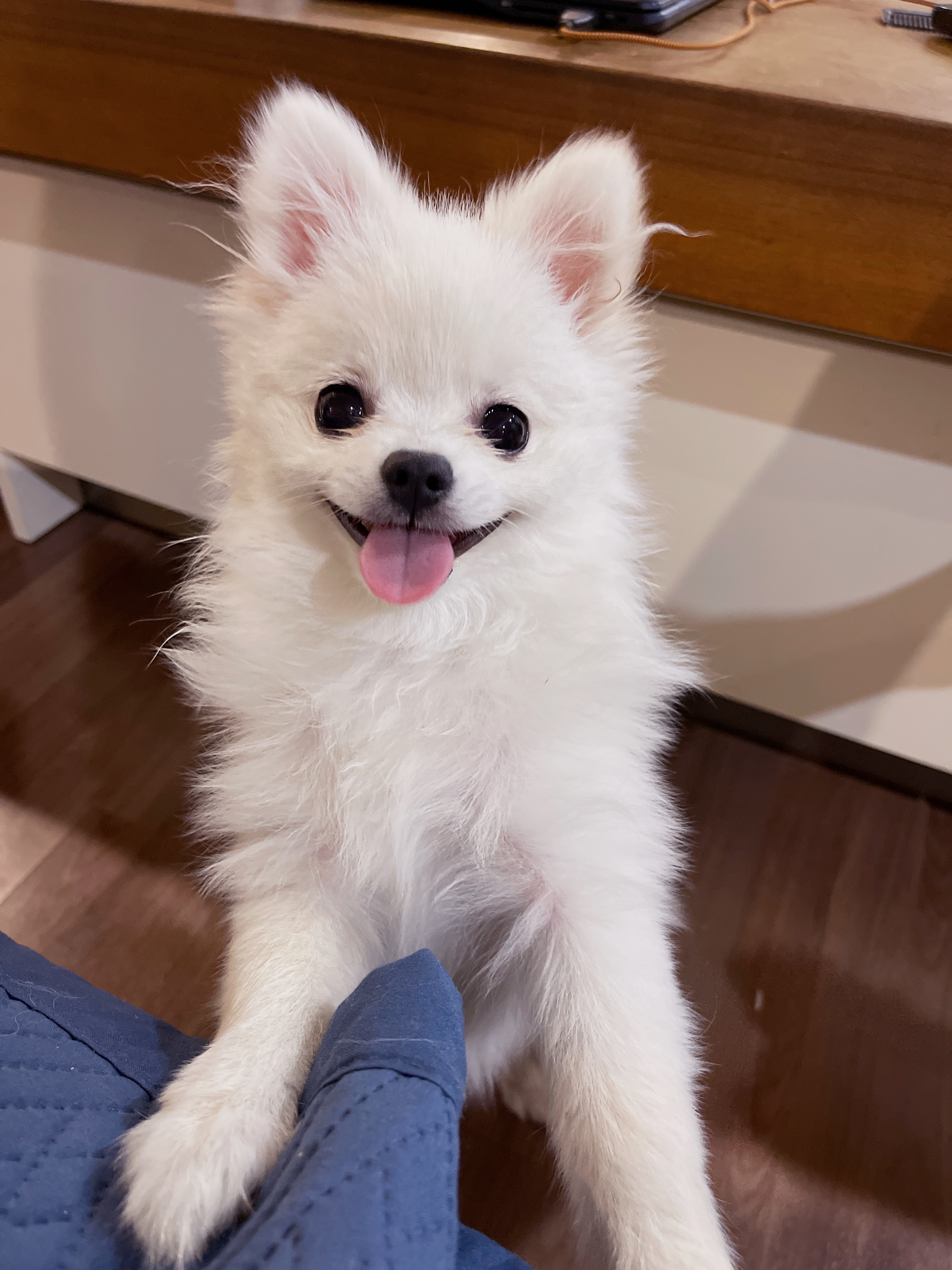 언제나 씩씩한 하루