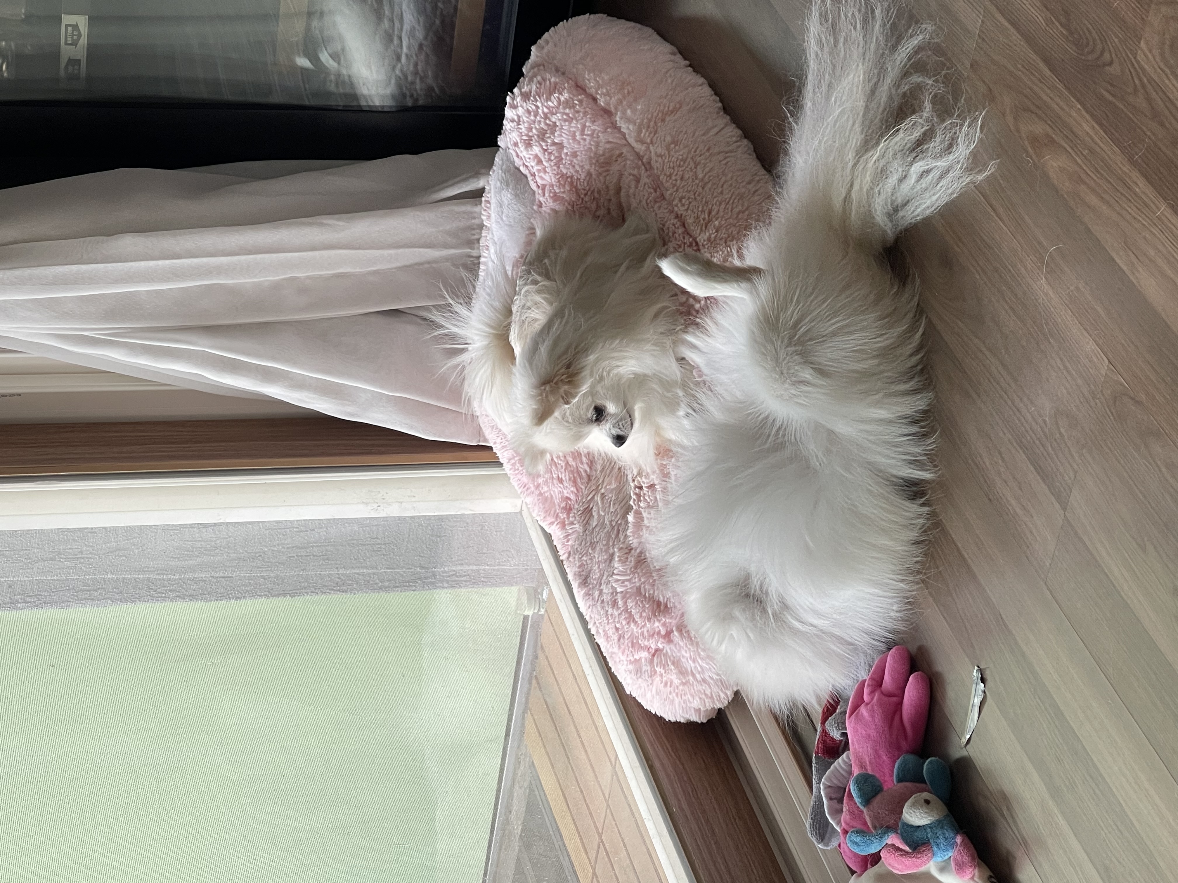 언제나 씩씩한 하루