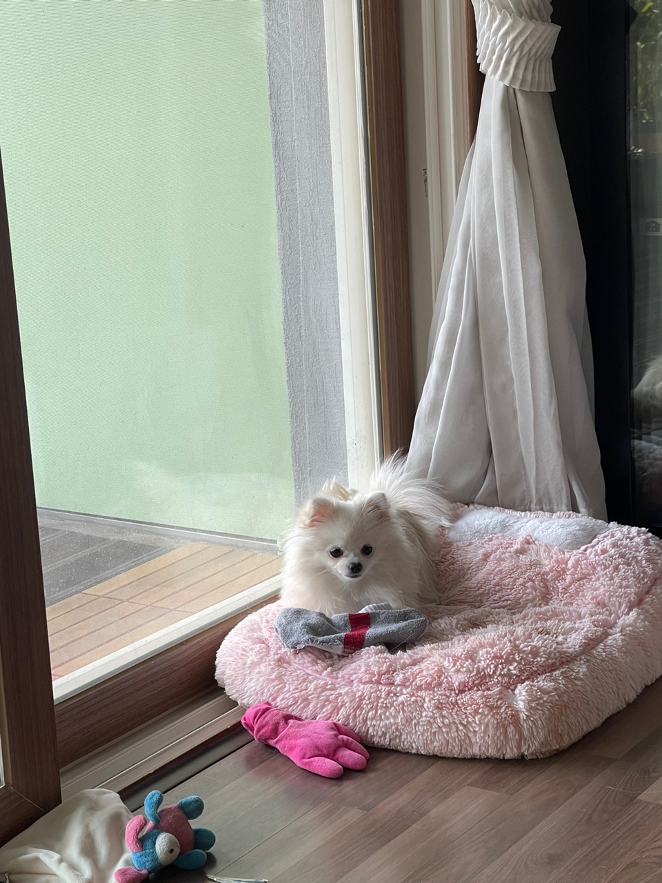 언제나 씩씩한 하루