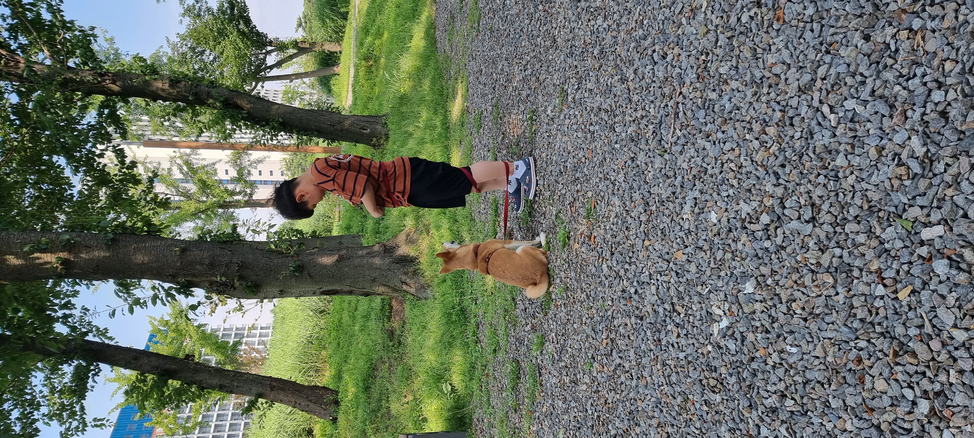 네시였던 별이 입니다^^♡