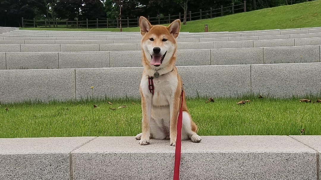 네시였던 별이 입니다^^♡