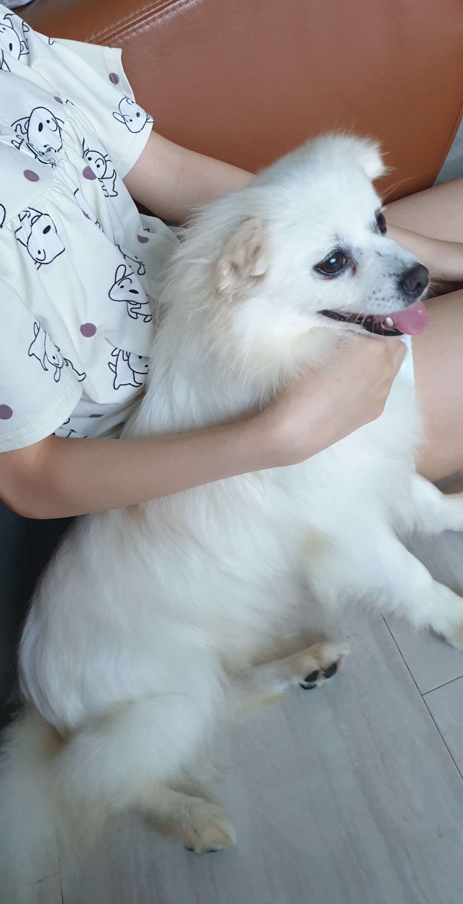 빈츠 입양후 7일째