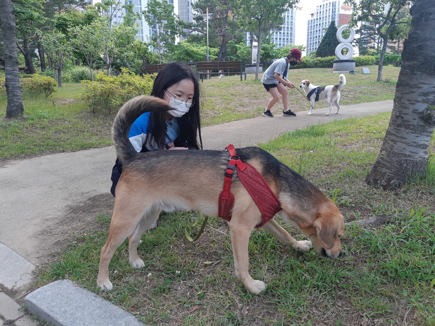 웅이와 장이 입양 1년 됐네요