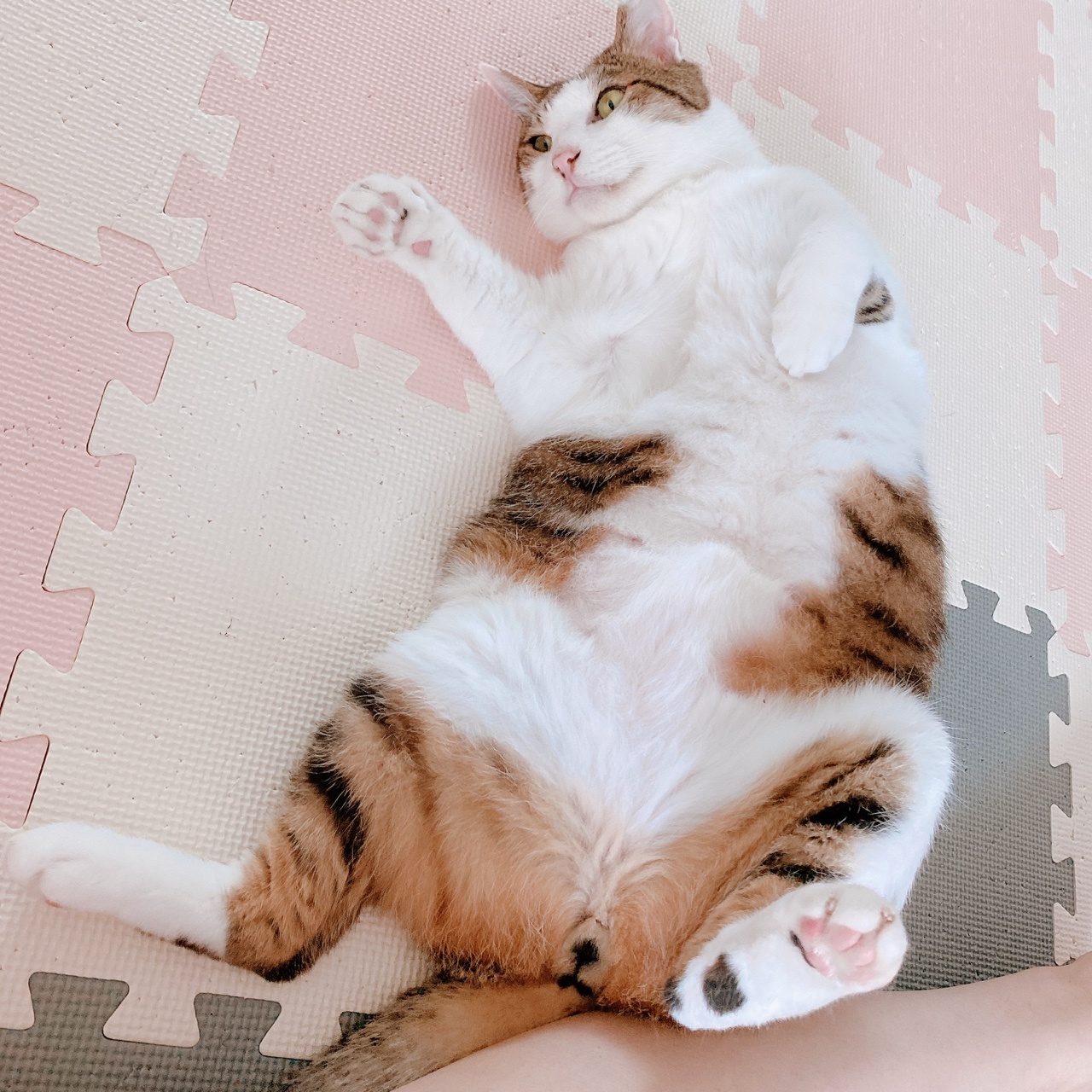 아띠와 함께  한지 벌써 3개월~!!!