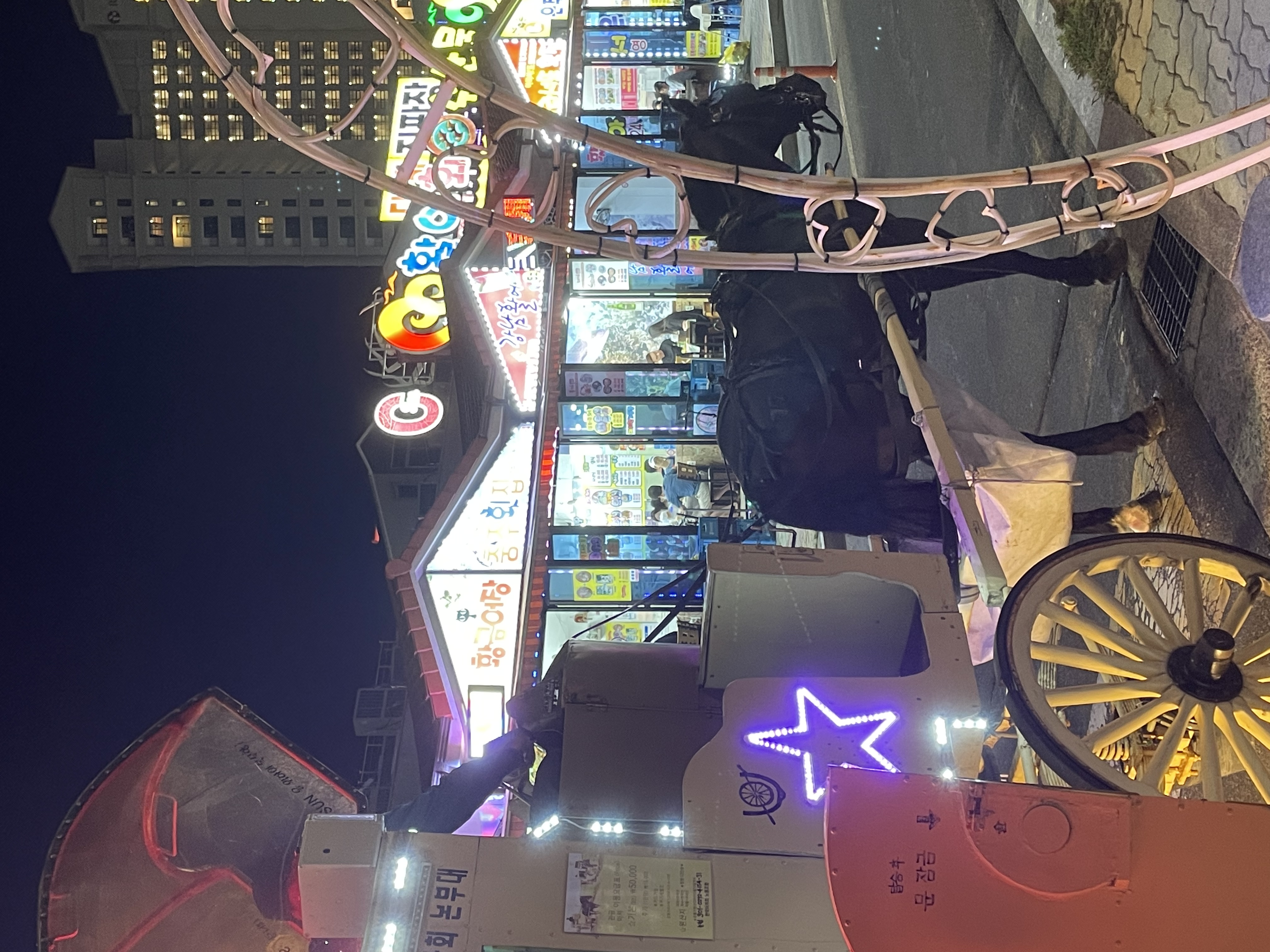 속초 대포항 말마차 동물학대
