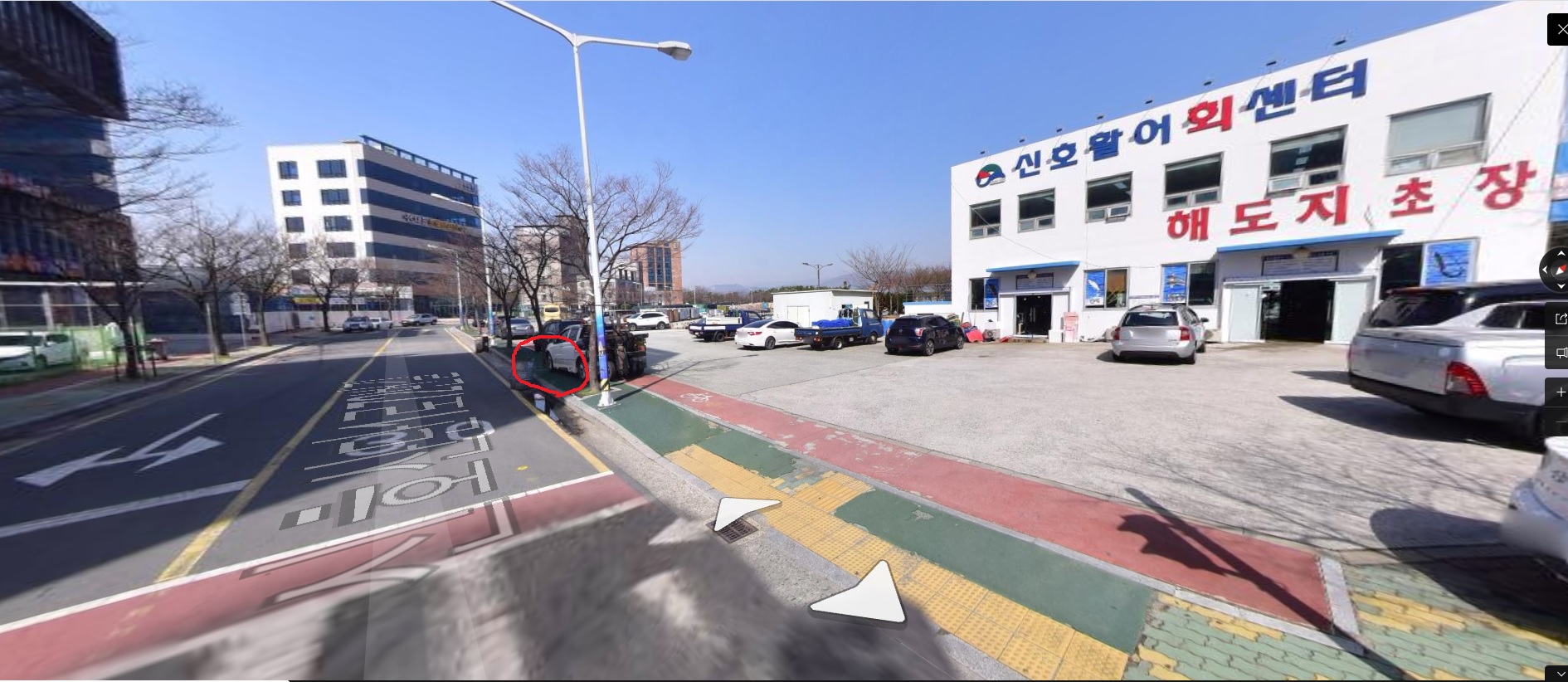 방치견 문제