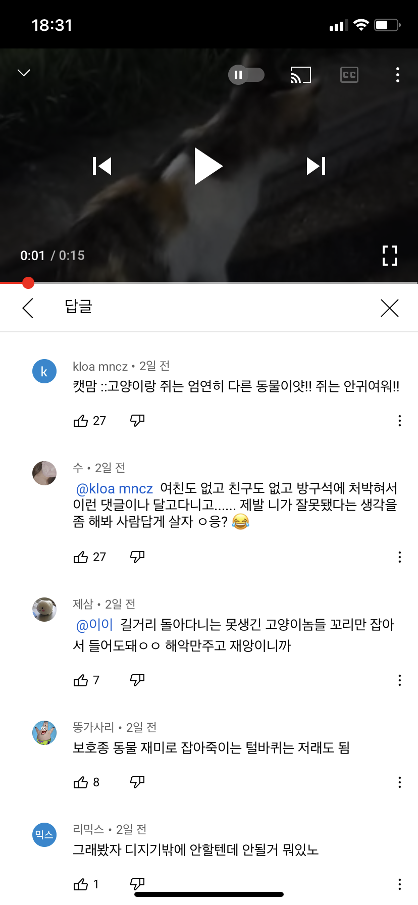 유튜브 고양이 학대 콘텐츠 및 댓글