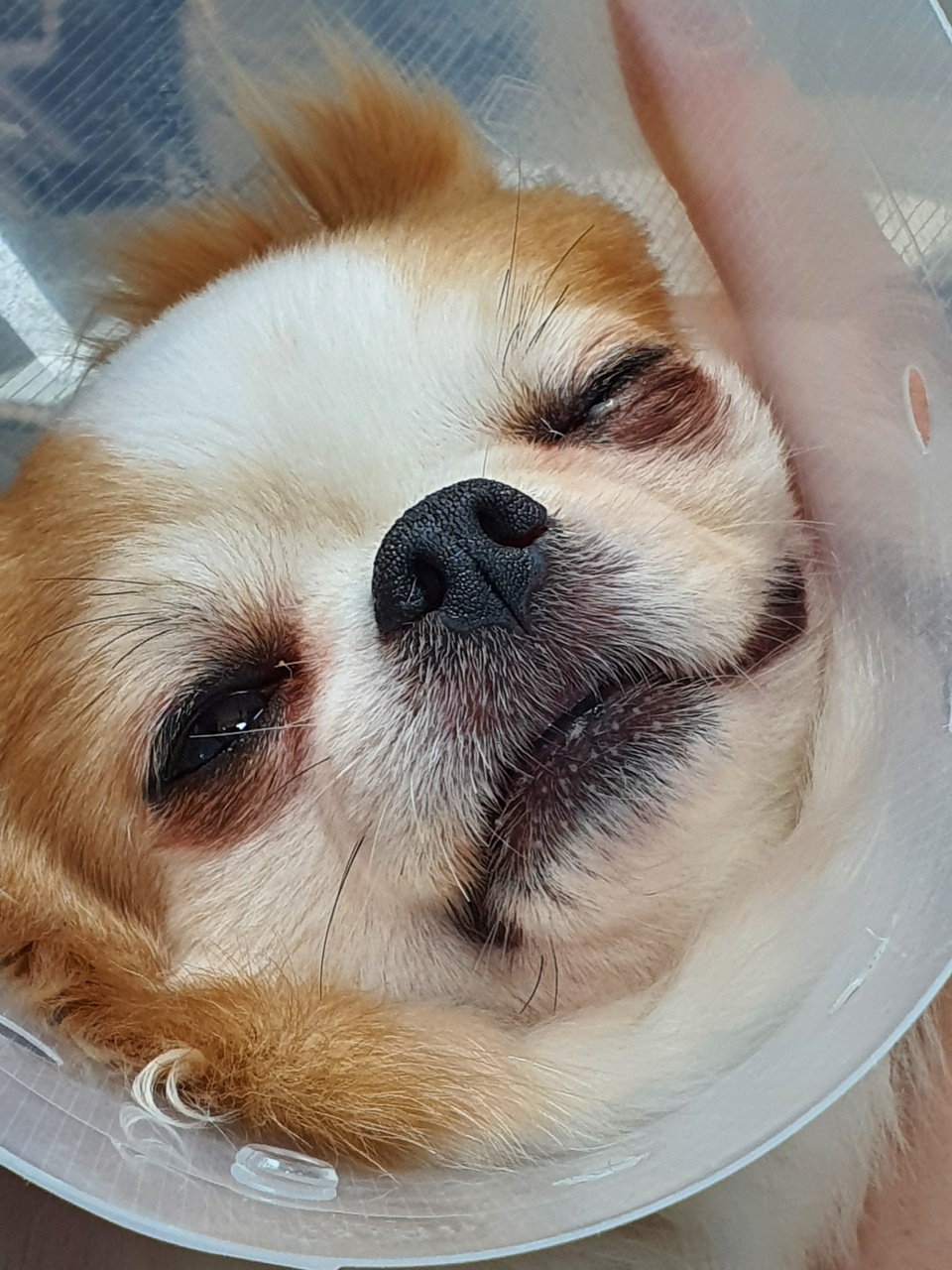 도와주세요!!
