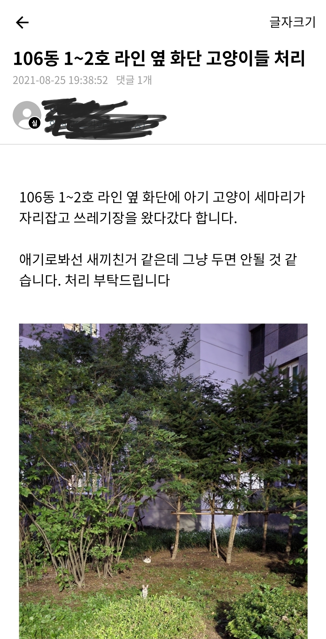 길고양이 불법포획 정황 포착 도움 요청 드립니다.