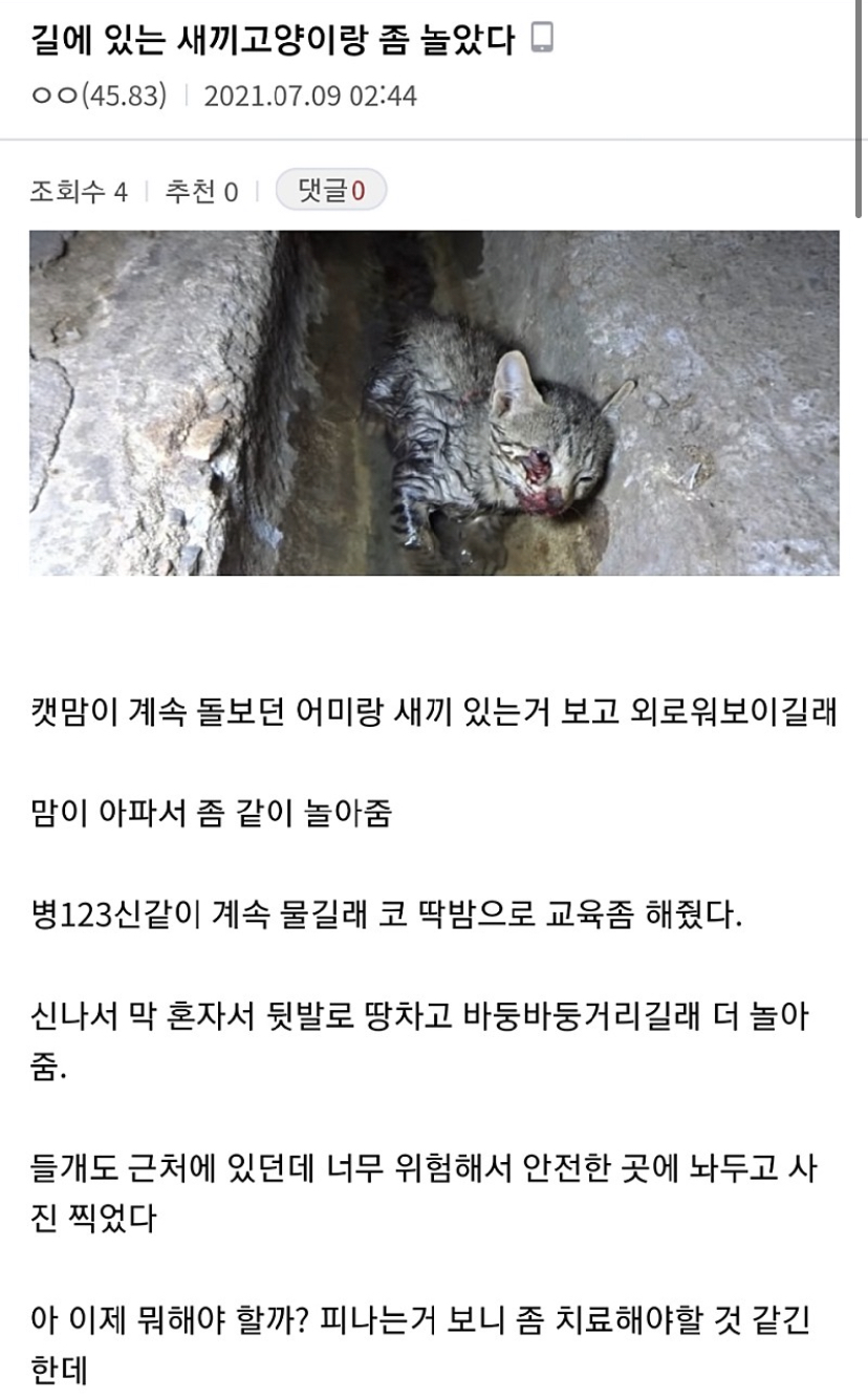 디시