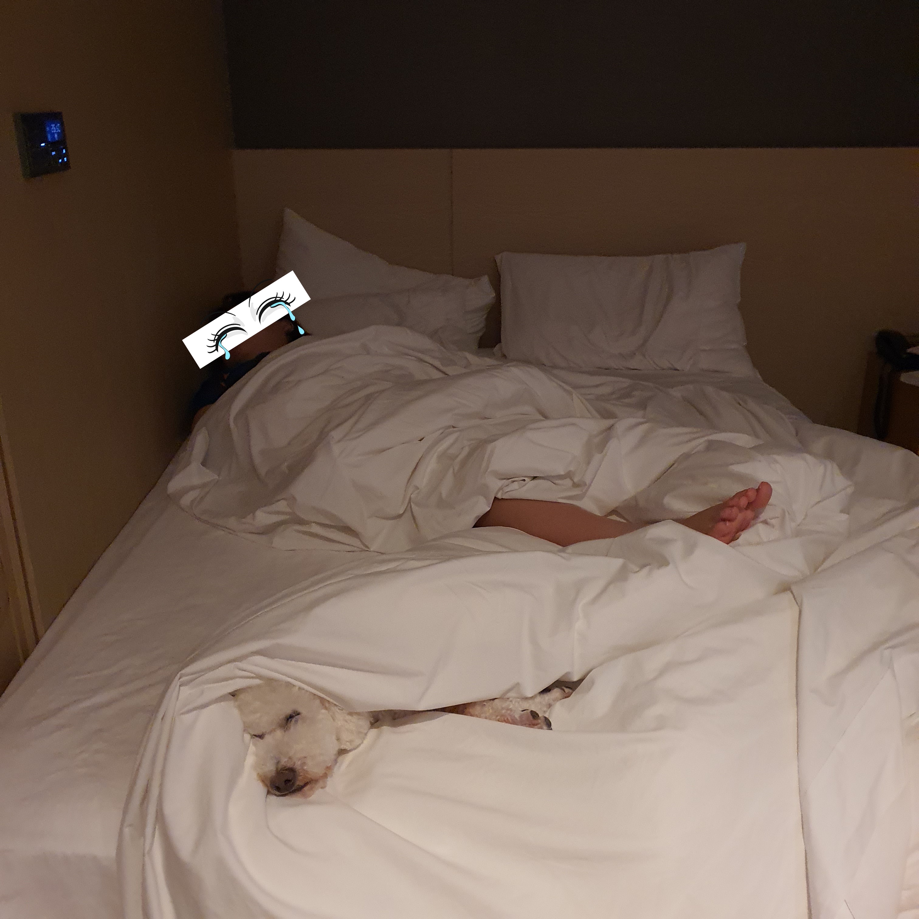 최고다(레일이) 온지 벌써 100일(3개월) 이 됐어요!