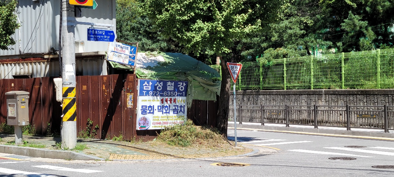 방치되어있는 개가 있습니다