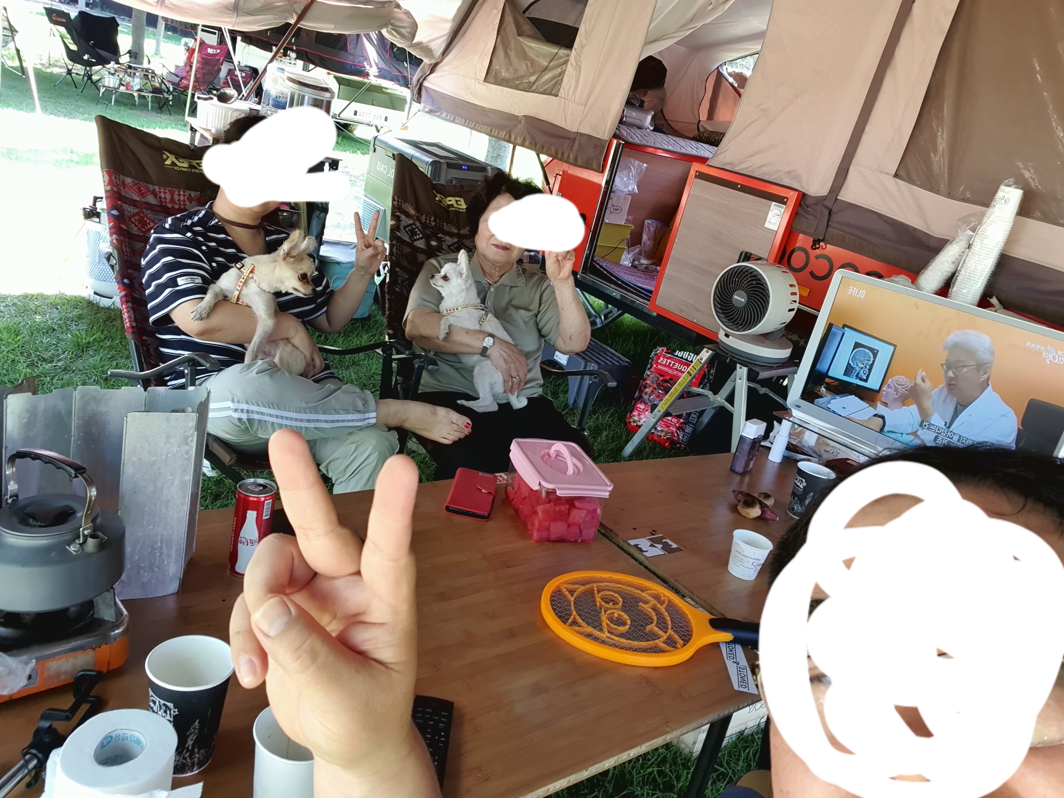 제리와 장미