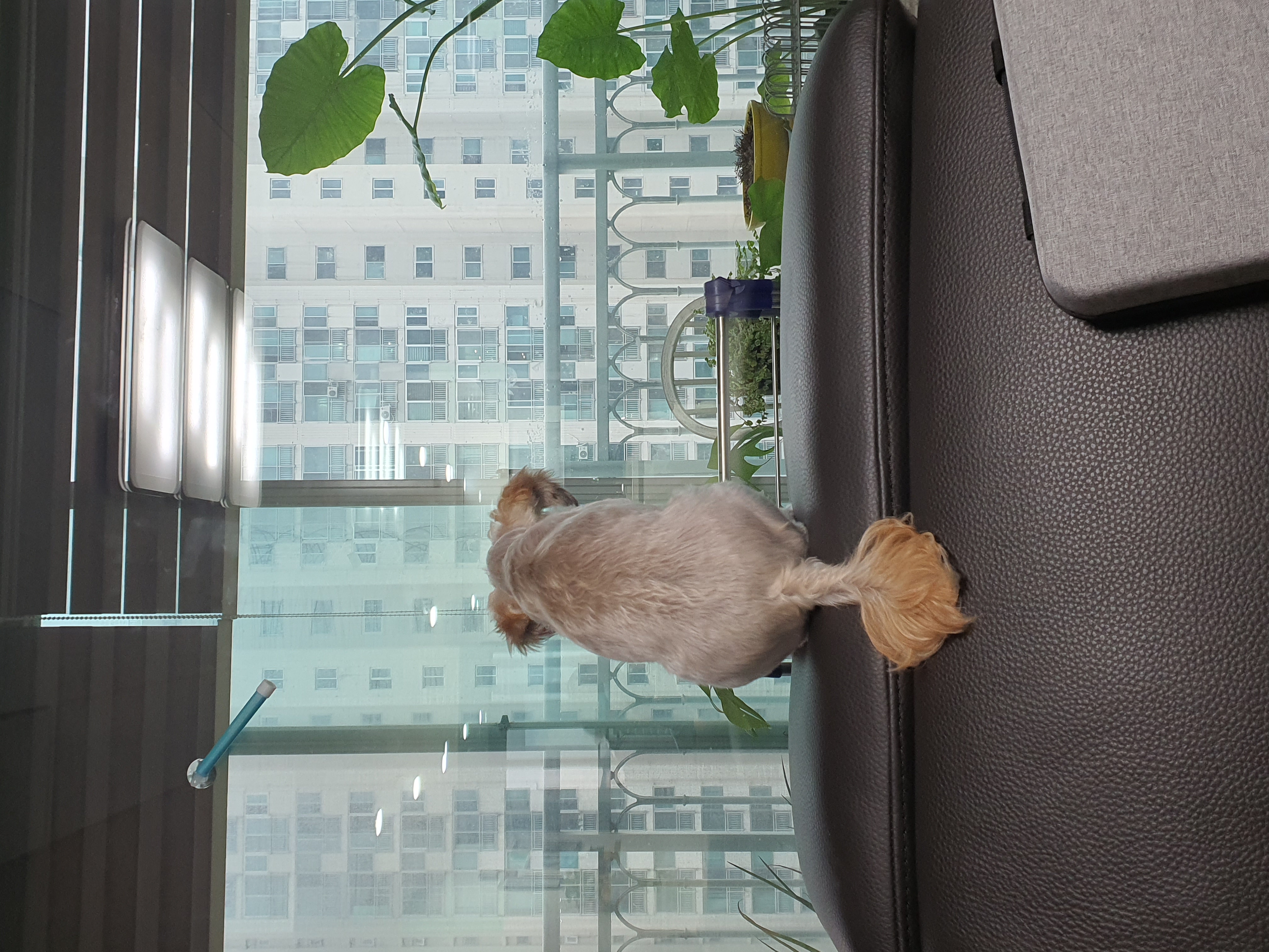곰이..어느새 3개월