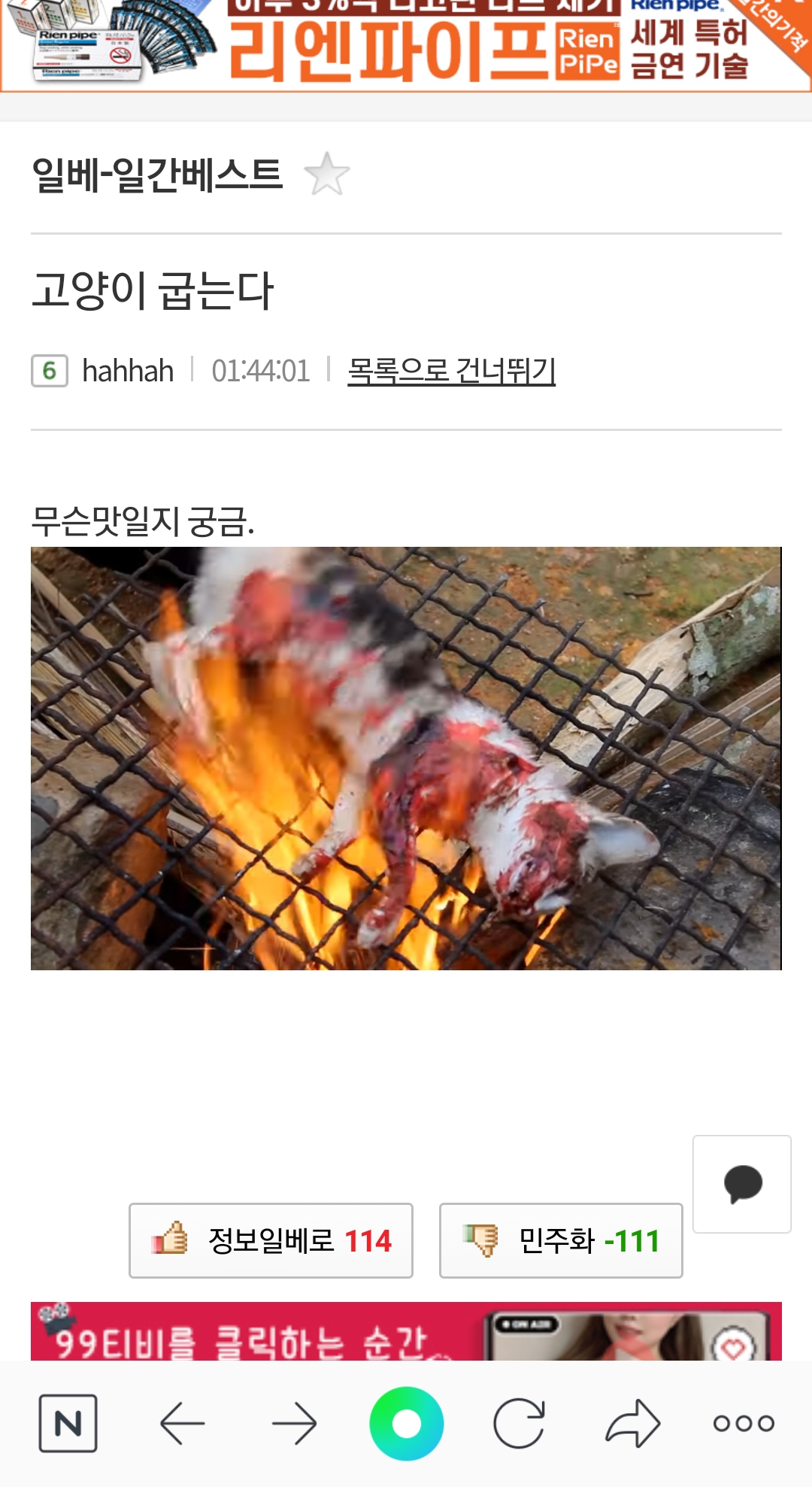 신고합니다. 너무 끔찍합니다