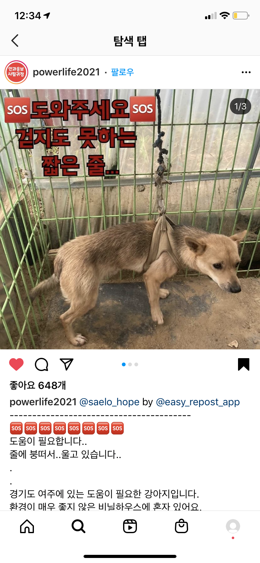 여주 비닐하우스 강아지 학대
