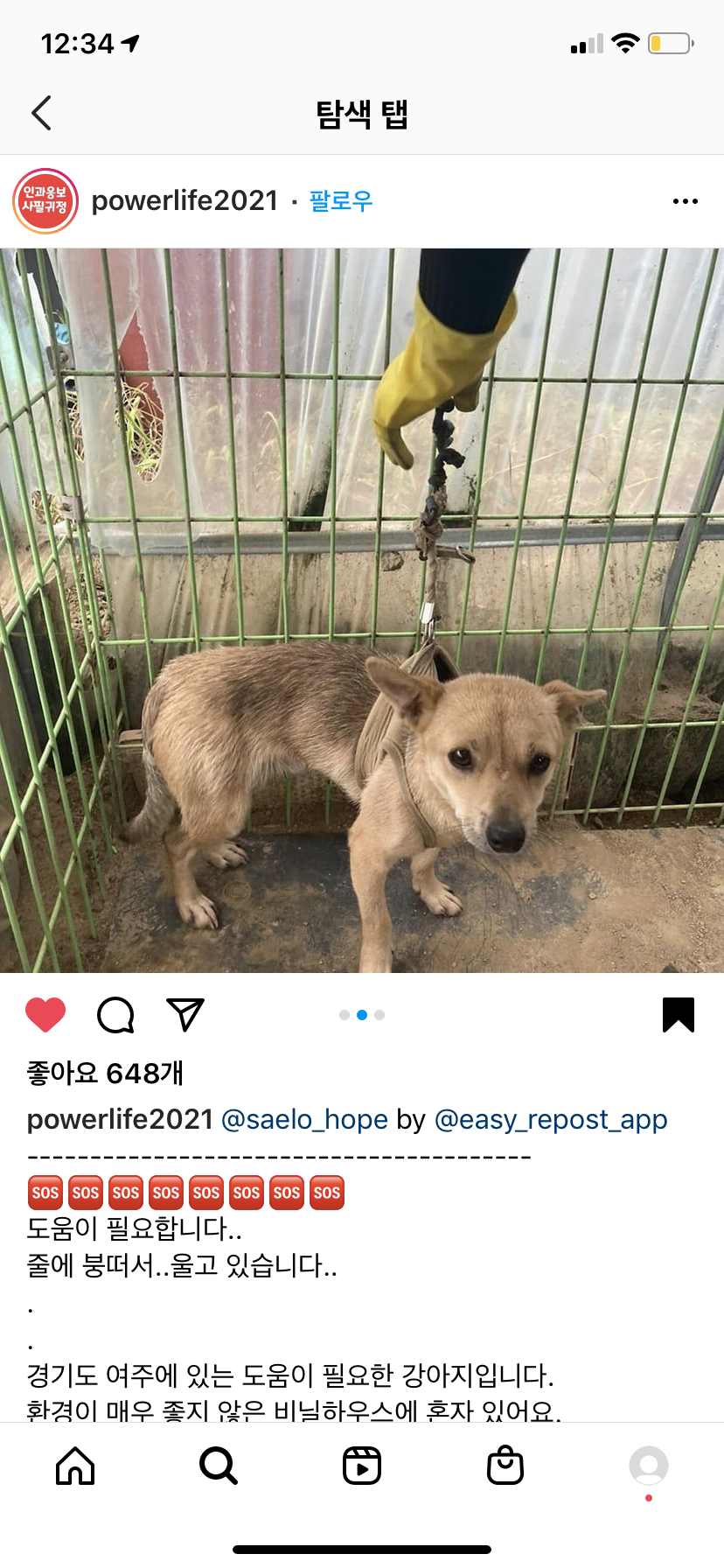 여주 비닐하우스 강아지 학대
