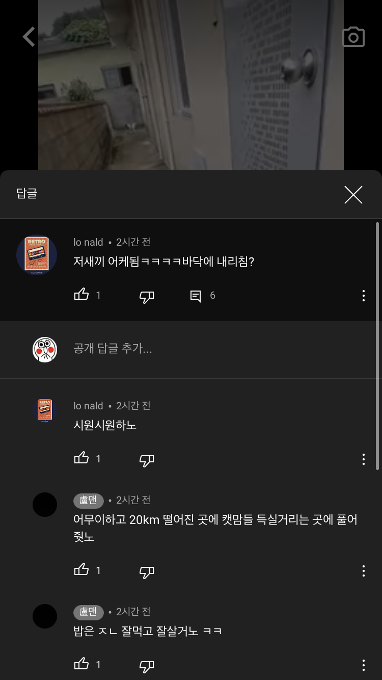 동물학대 제보합니다