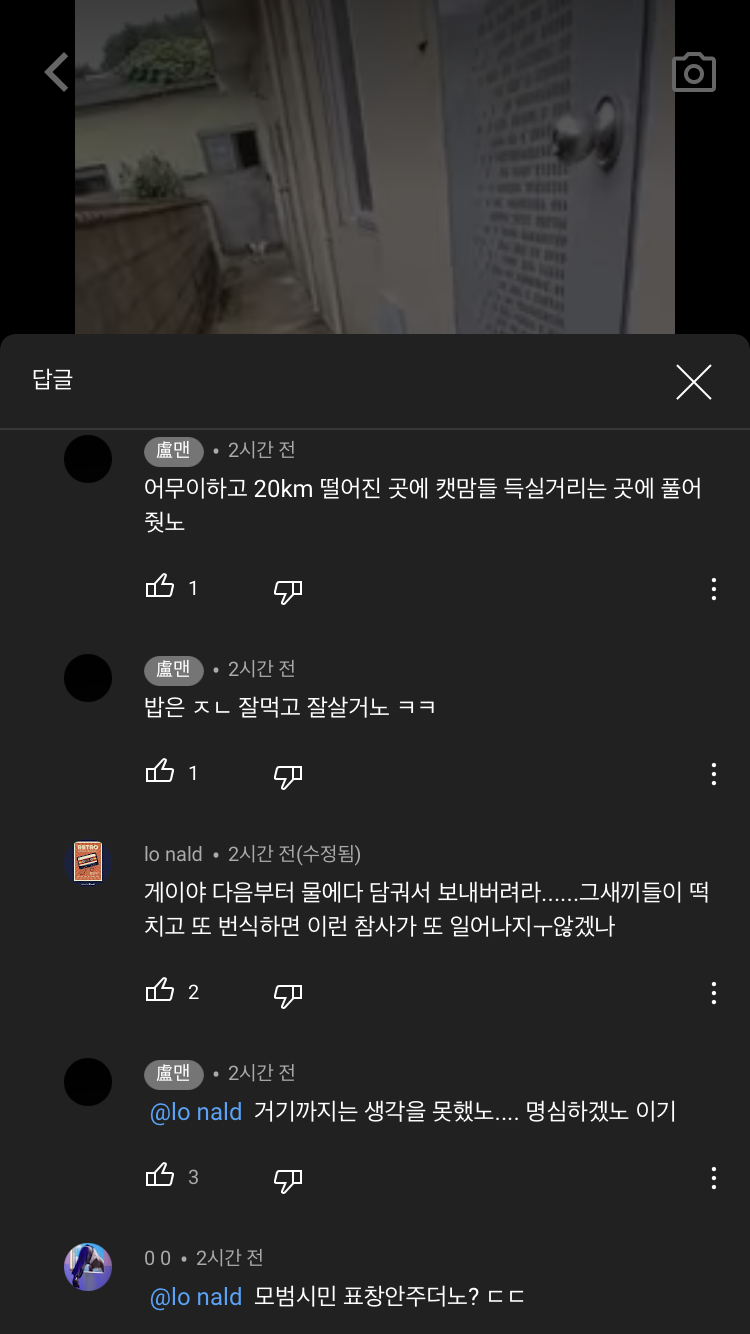 동물학대 제보합니다