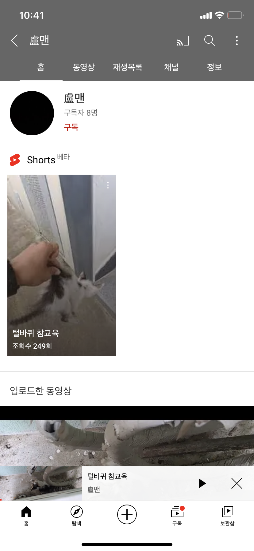 유튜브 고양이 학대 영상