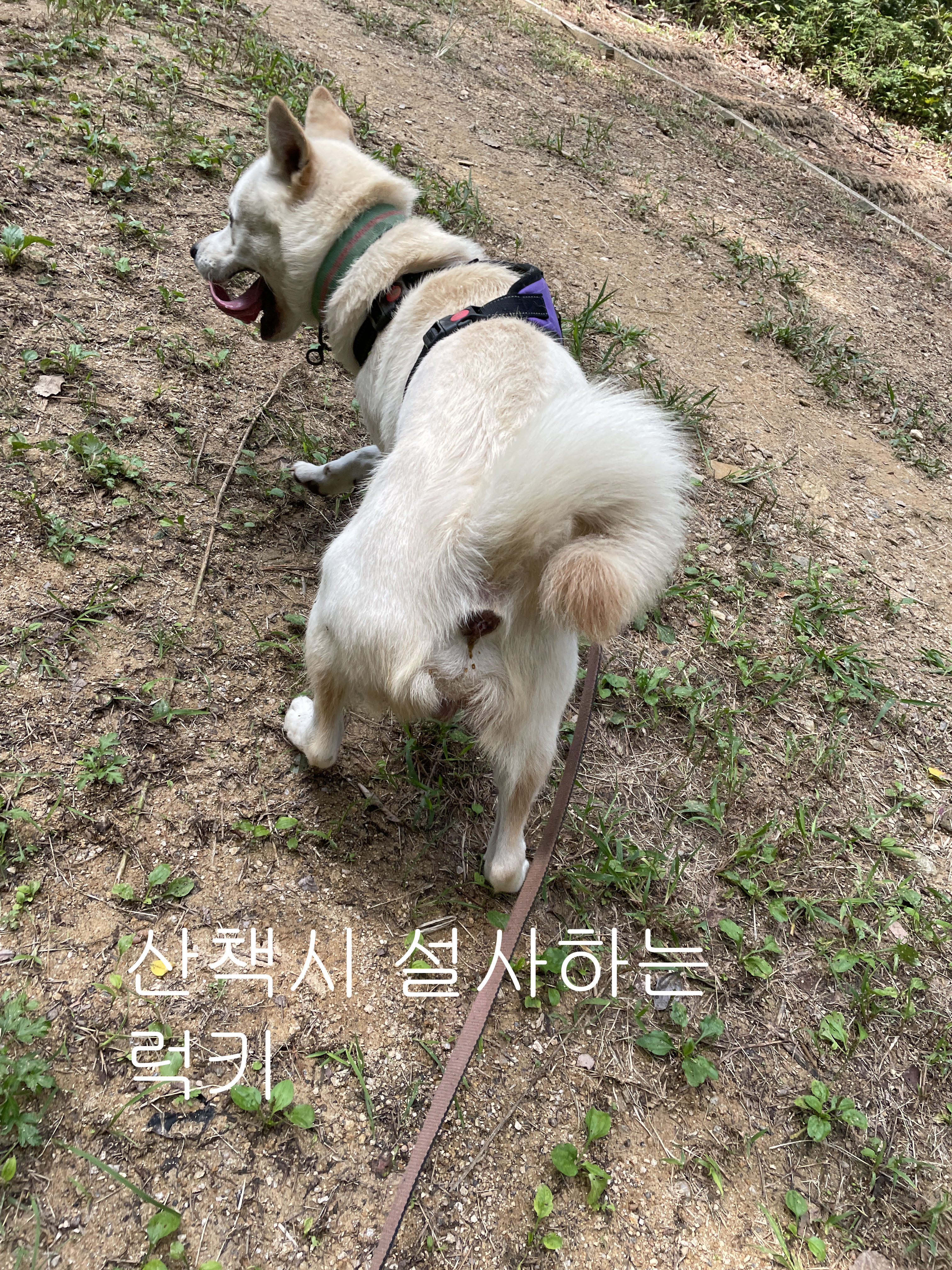 극도로 케어를 거부, 방치된 아이 제보합니다. 