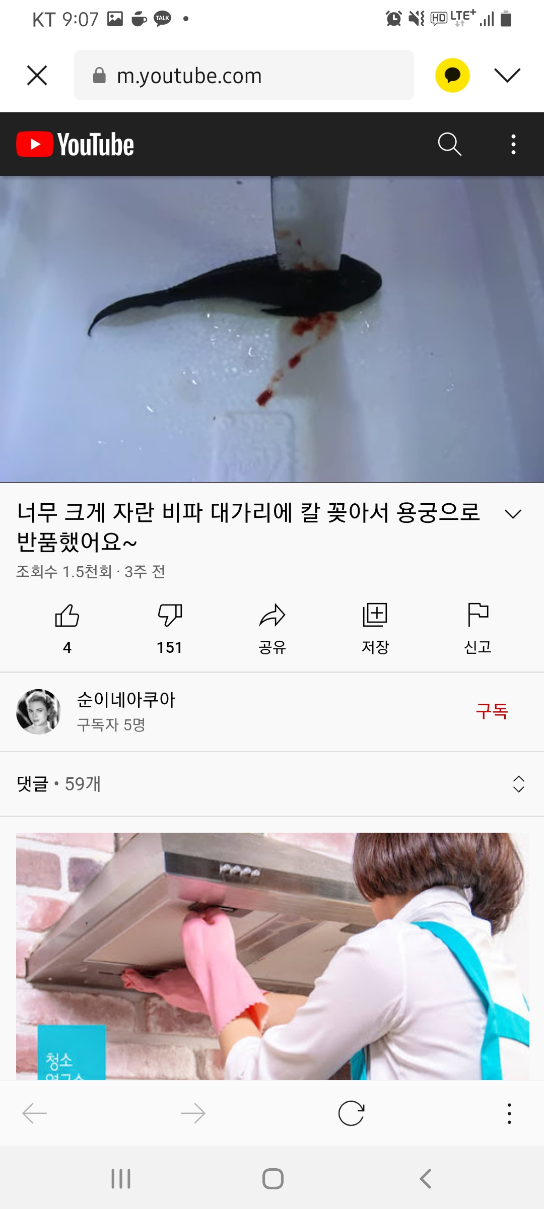 관상어에 흉기를 꽂아 부적절한 학대행위를 컨텐츠로 유튜버 학대건 제보합니다